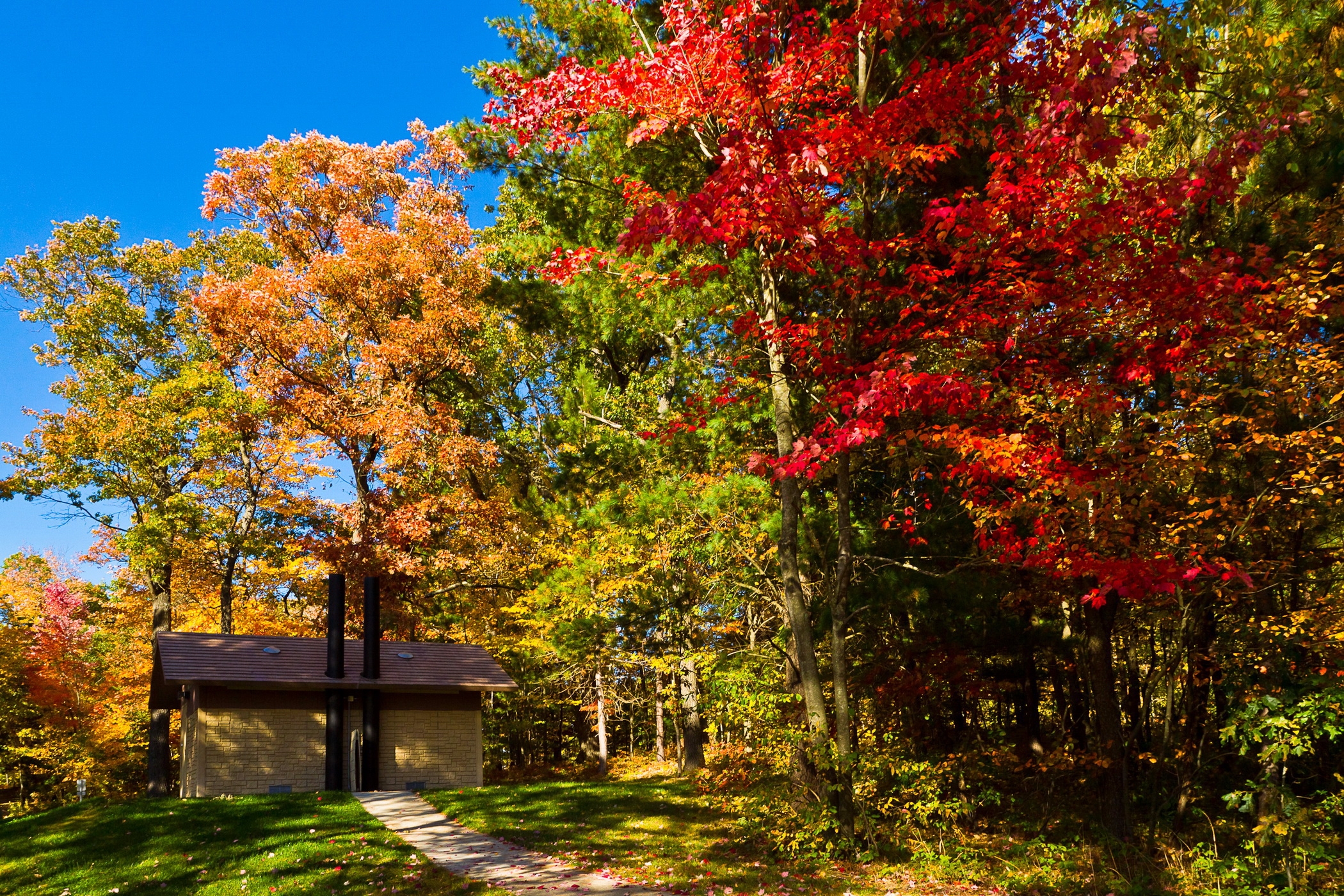autumn, nature, trees, usa, forest, small house, lodge, united states, track, clear, i see, wisconsin, lake mills