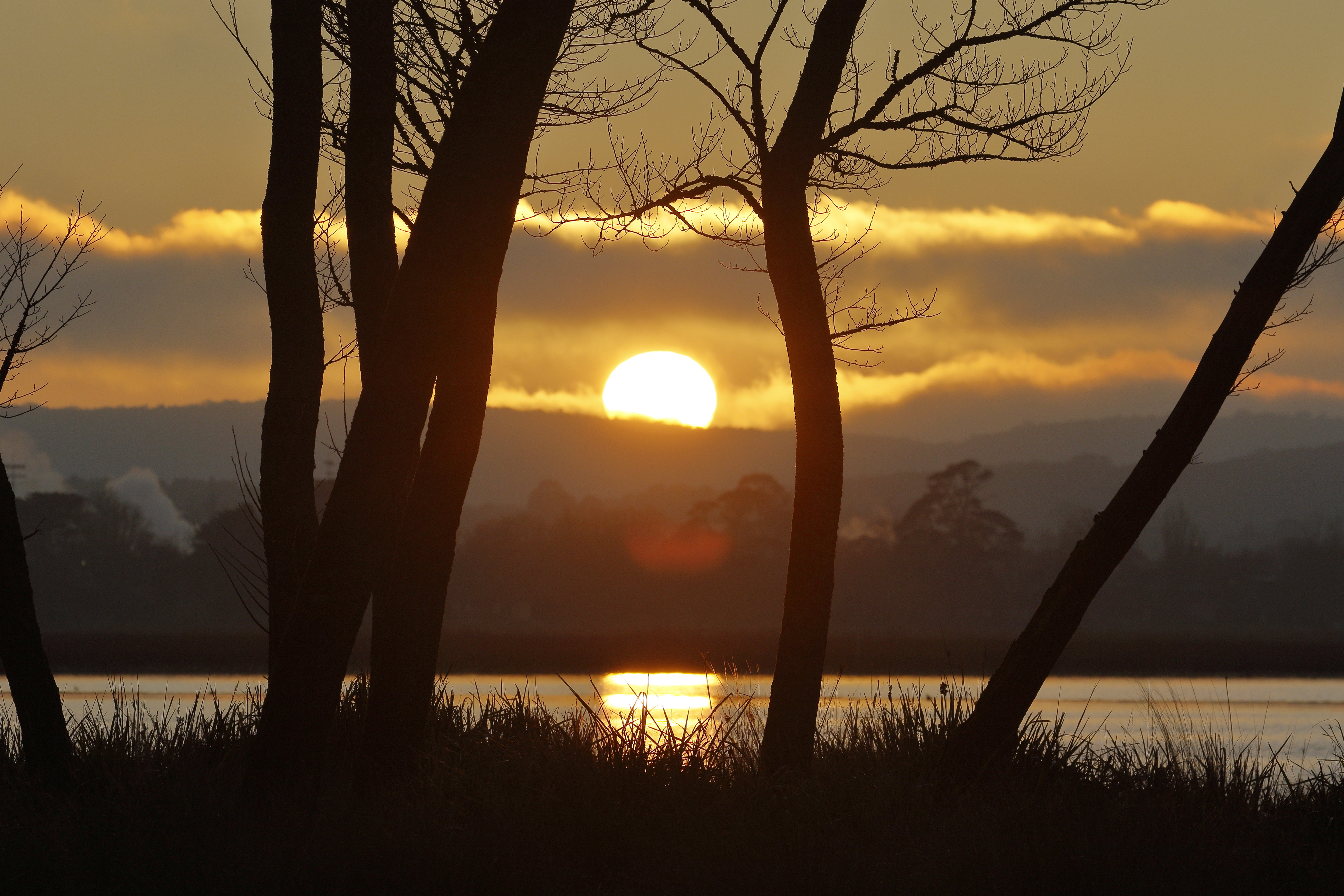 Laden Sie das Natur, Bäume, Grass, Sun, Sunset, Flüsse-Bild kostenlos auf Ihren PC-Desktop herunter