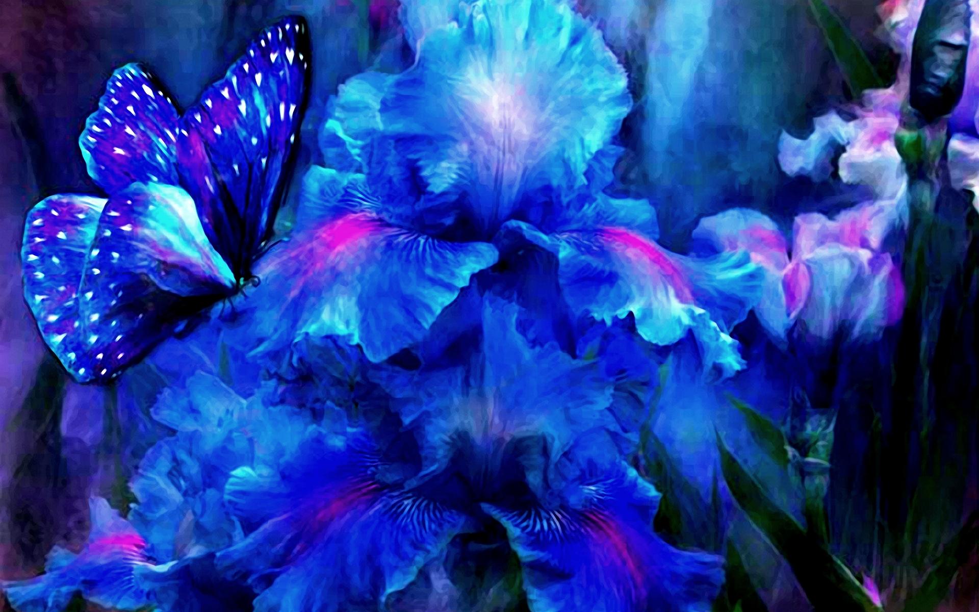 Download mobile wallpaper Iris, Butterfly, Artistic for free.