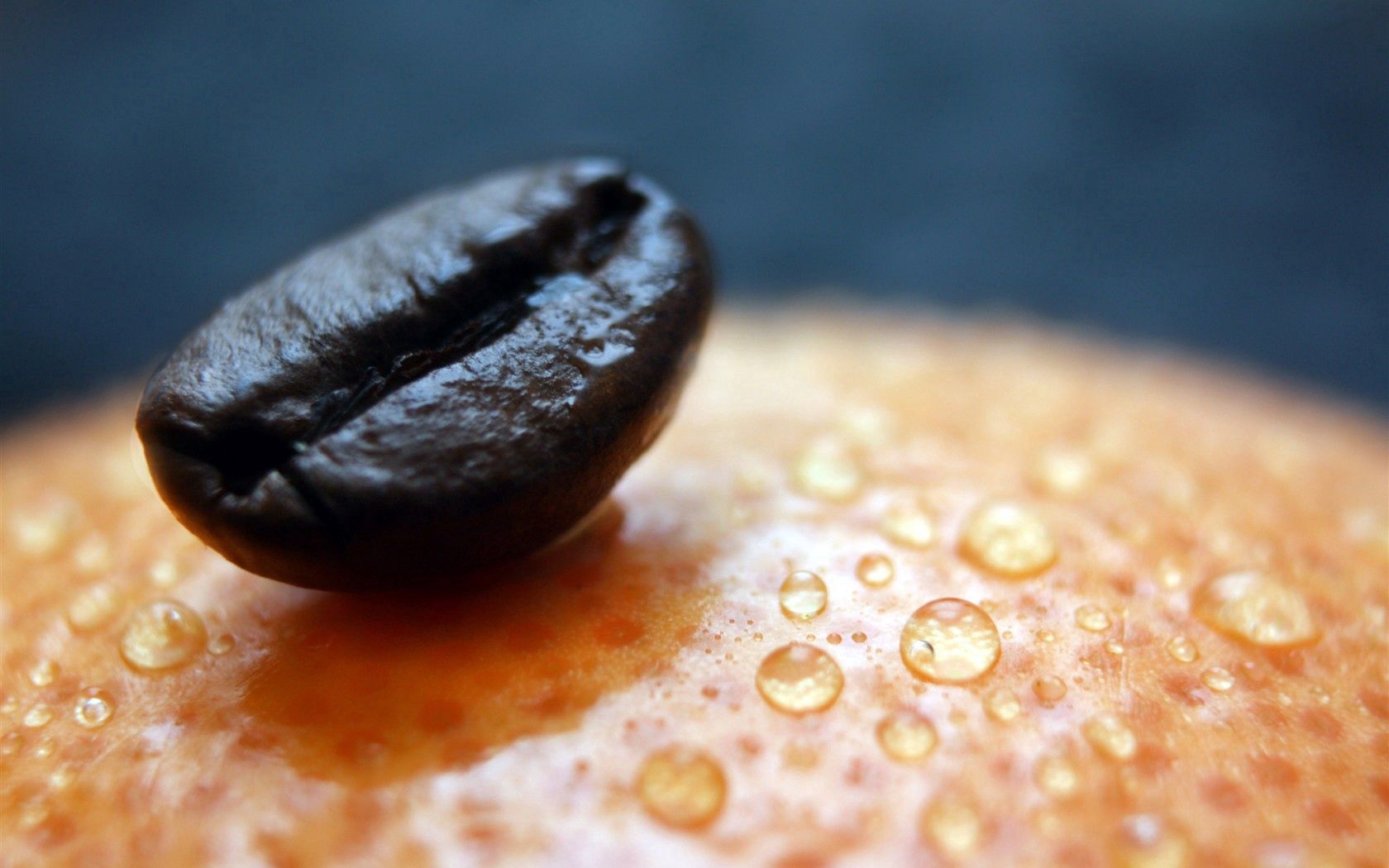 drops, coffee, macro, surface, grain, corn