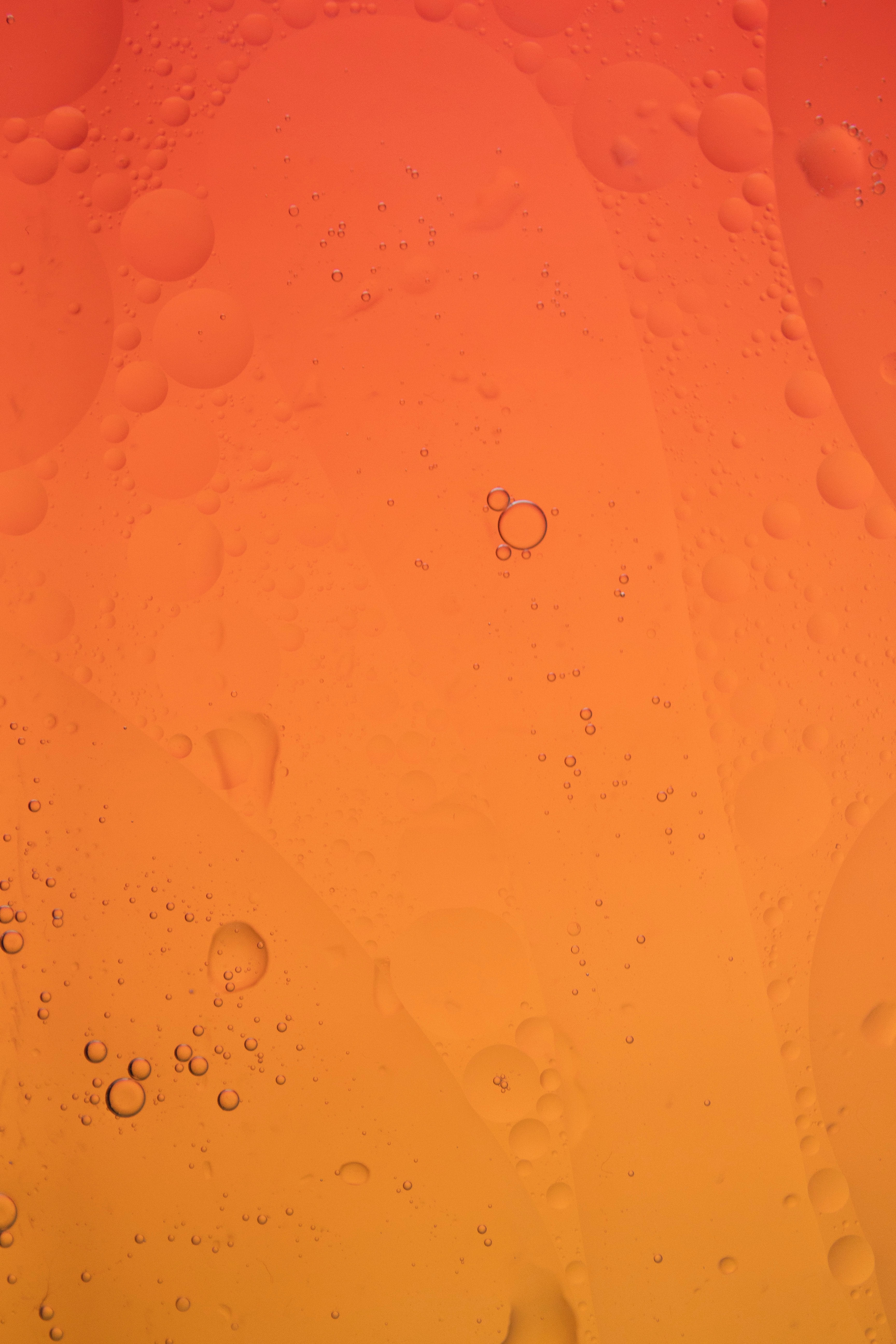 abstract, water, bubbles, orange Desktop Wallpaper