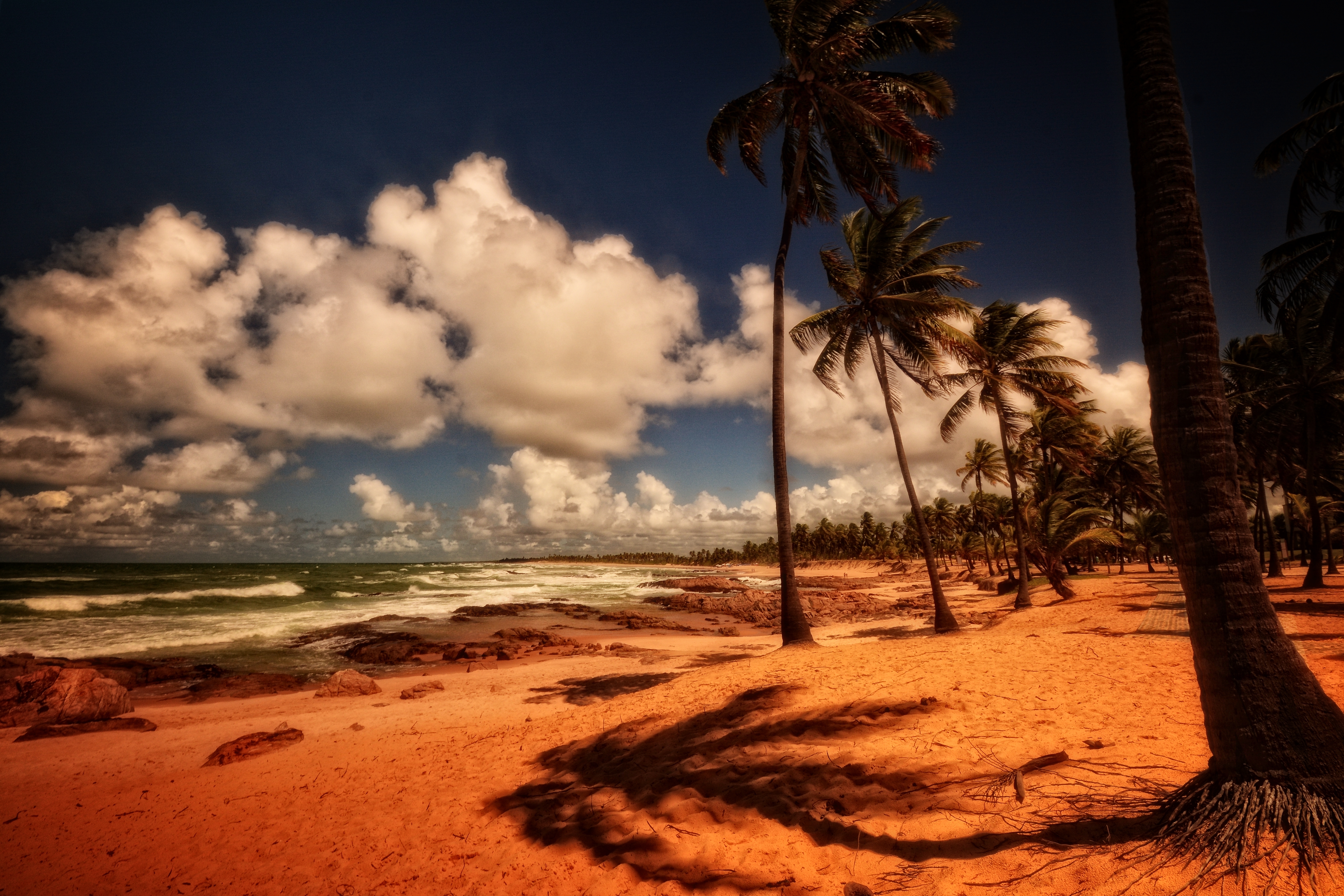 1522754 descargar fondo de pantalla brasil, tierra/naturaleza, playa, nube, palmera, mar, orilla del mar, cielo, zona tropical: protectores de pantalla e imágenes gratis