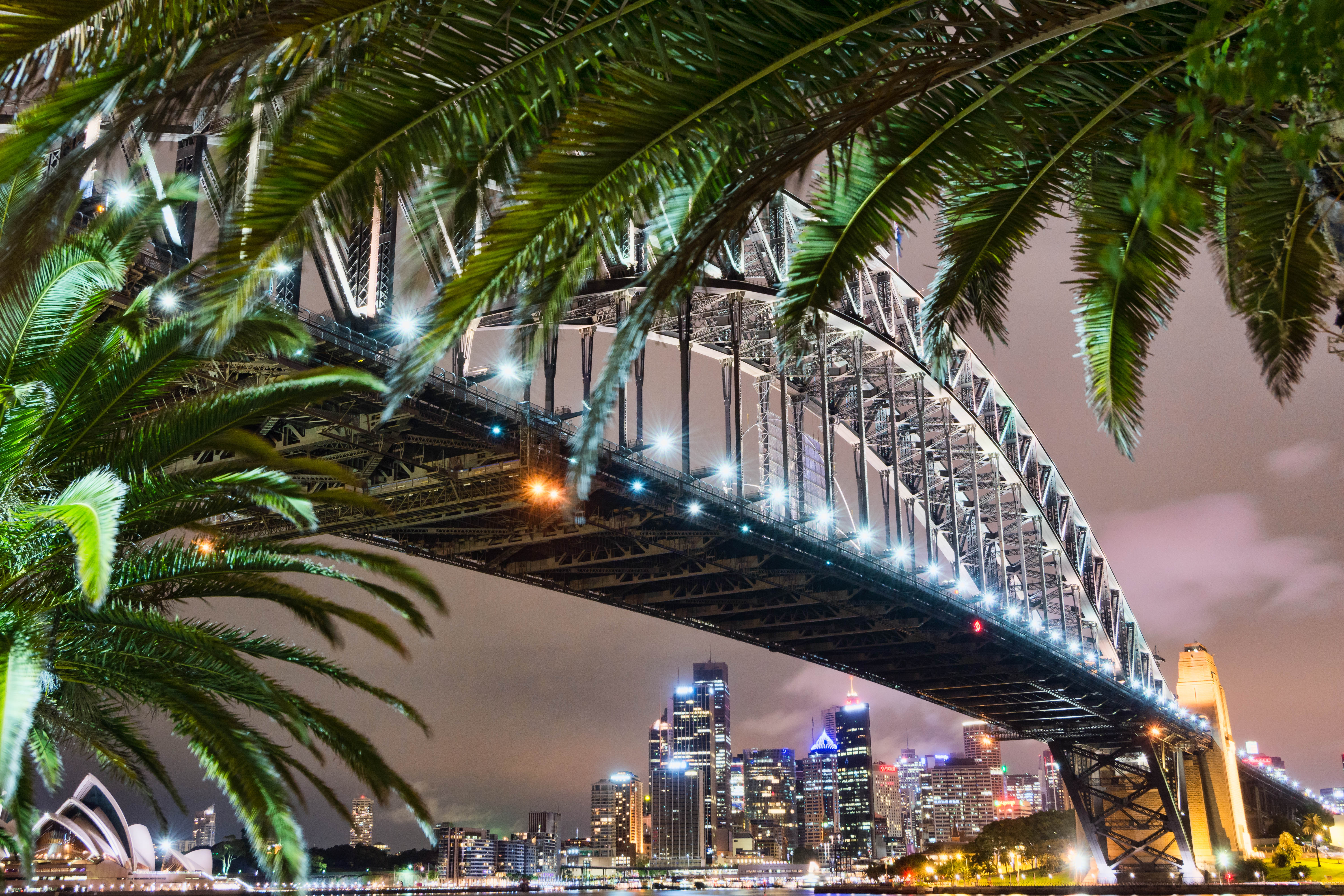 357845 baixar imagens feito pelo homem, ponte da baía de sydney, austrália, cidade, palmeira, ópera de sydney, sidney, pontes - papéis de parede e protetores de tela gratuitamente