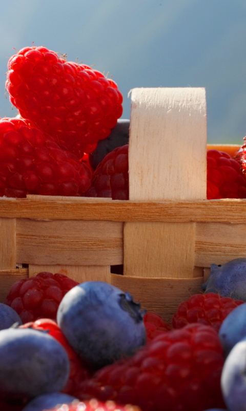 Descarga gratuita de fondo de pantalla para móvil de Baya, Alimento.