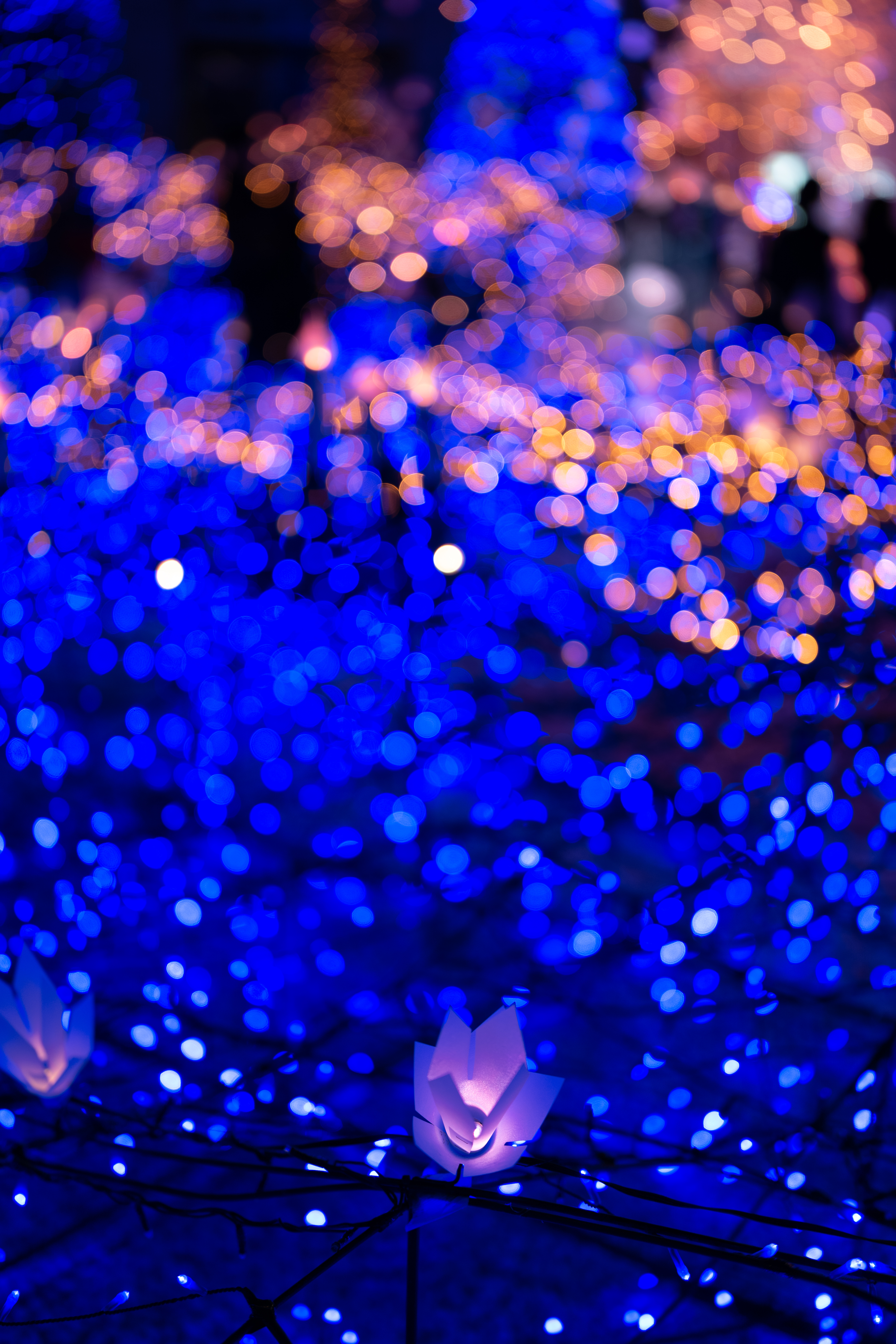 Download mobile wallpaper New Year, Boquet, Garland, Garlands, Holidays, Glare, Christmas, Bokeh, Light, Shine for free.