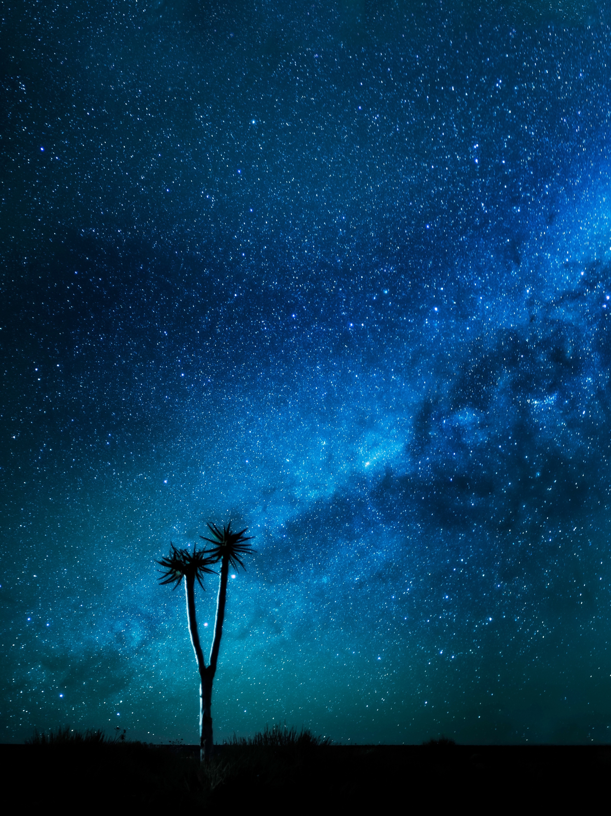 Download mobile wallpaper Nature, Stars, Starry Sky, Milky Way, Sci Fi, Namibia for free.