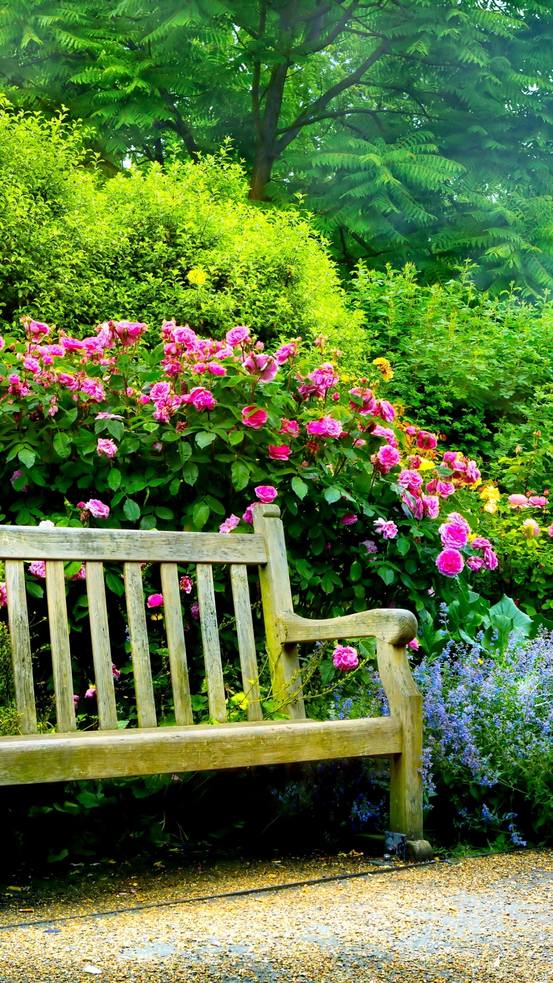 Download mobile wallpaper Flower, Park, Bench, Spring, Man Made, Pink Flower for free.