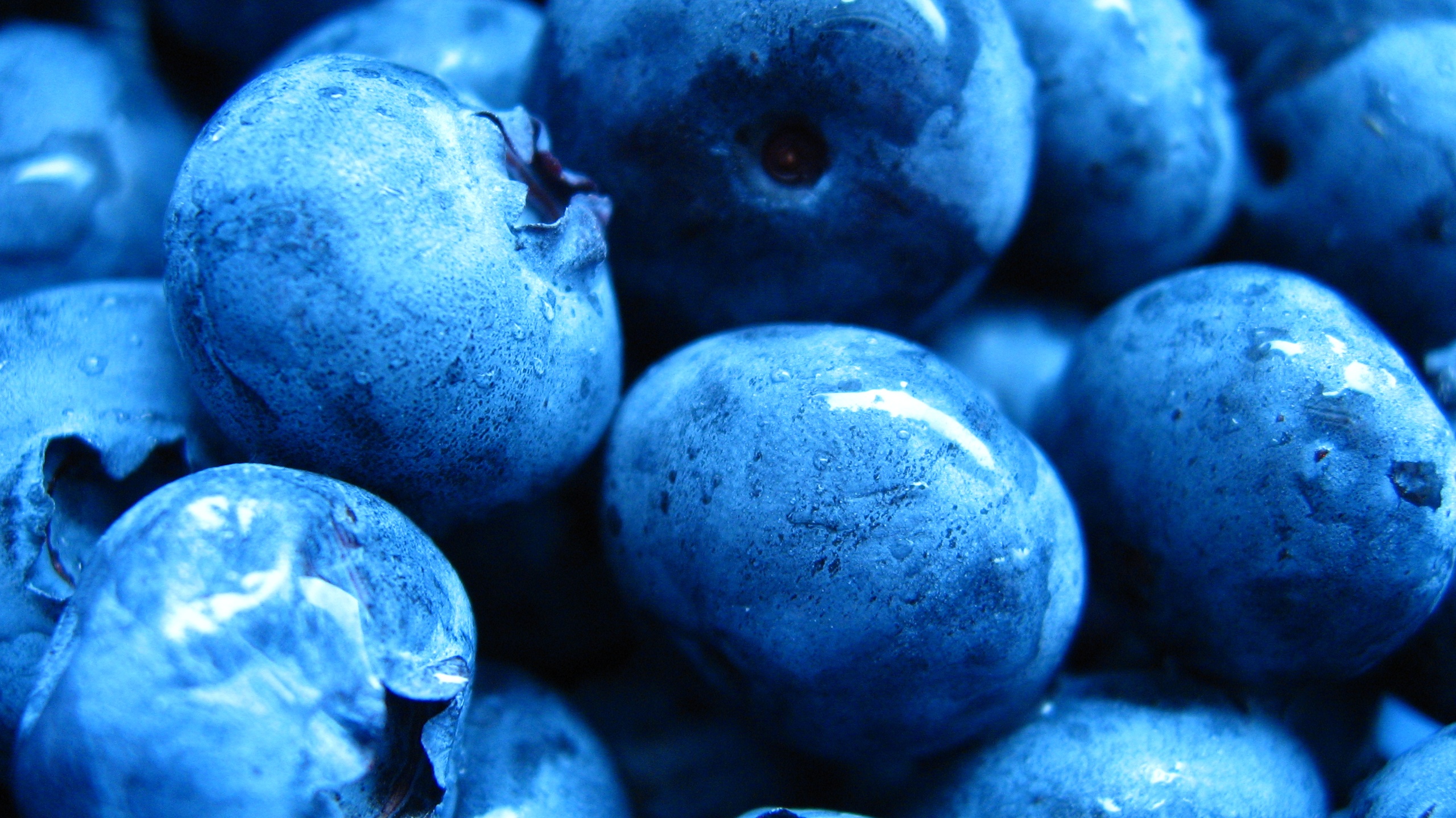 food, blueberry