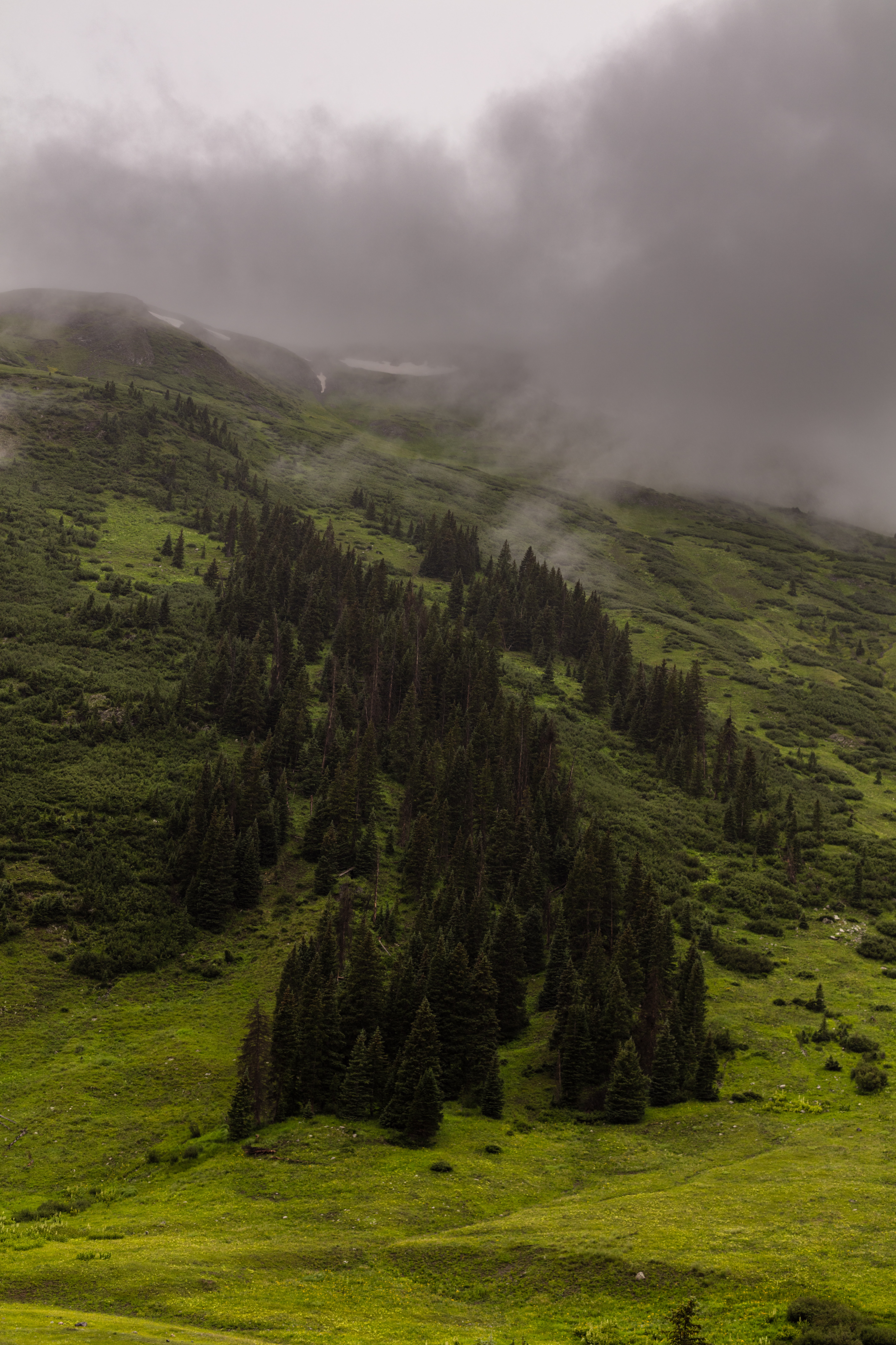 Handy-Wallpaper Nebel, Steigung, Mountains, Clouds, Bäume, Natur kostenlos herunterladen.
