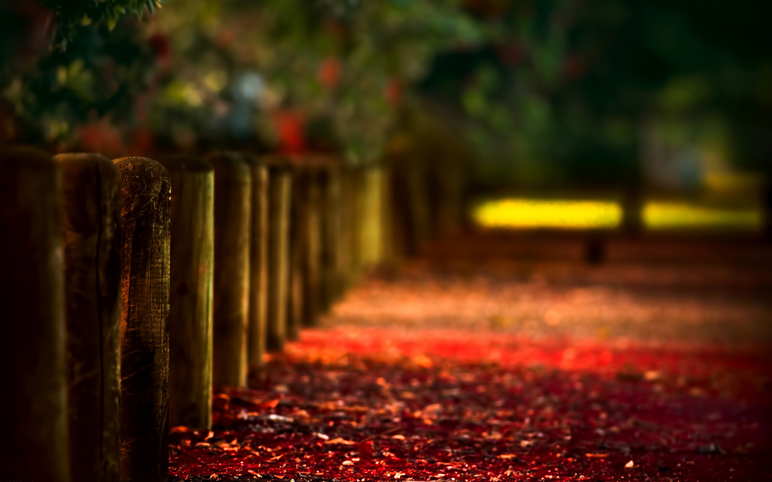 Download mobile wallpaper Blur, Fall, Fence, Man Made for free.