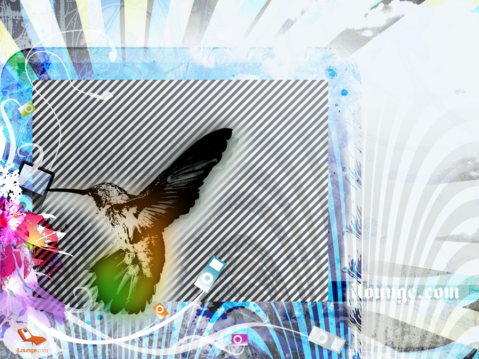 Téléchargez des papiers peints mobile Colibri, Oiseau, Des Oiseaux, Animaux gratuitement.