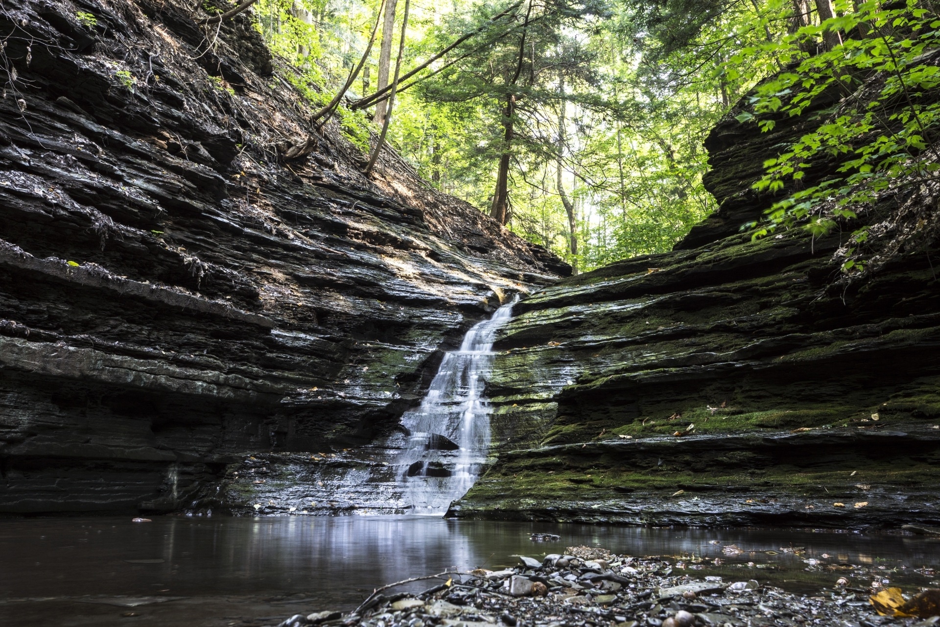 Descarga gratuita de fondo de pantalla para móvil de Naturaleza, Agua, Cascadas, Cascada, Bosque, Tierra/naturaleza.