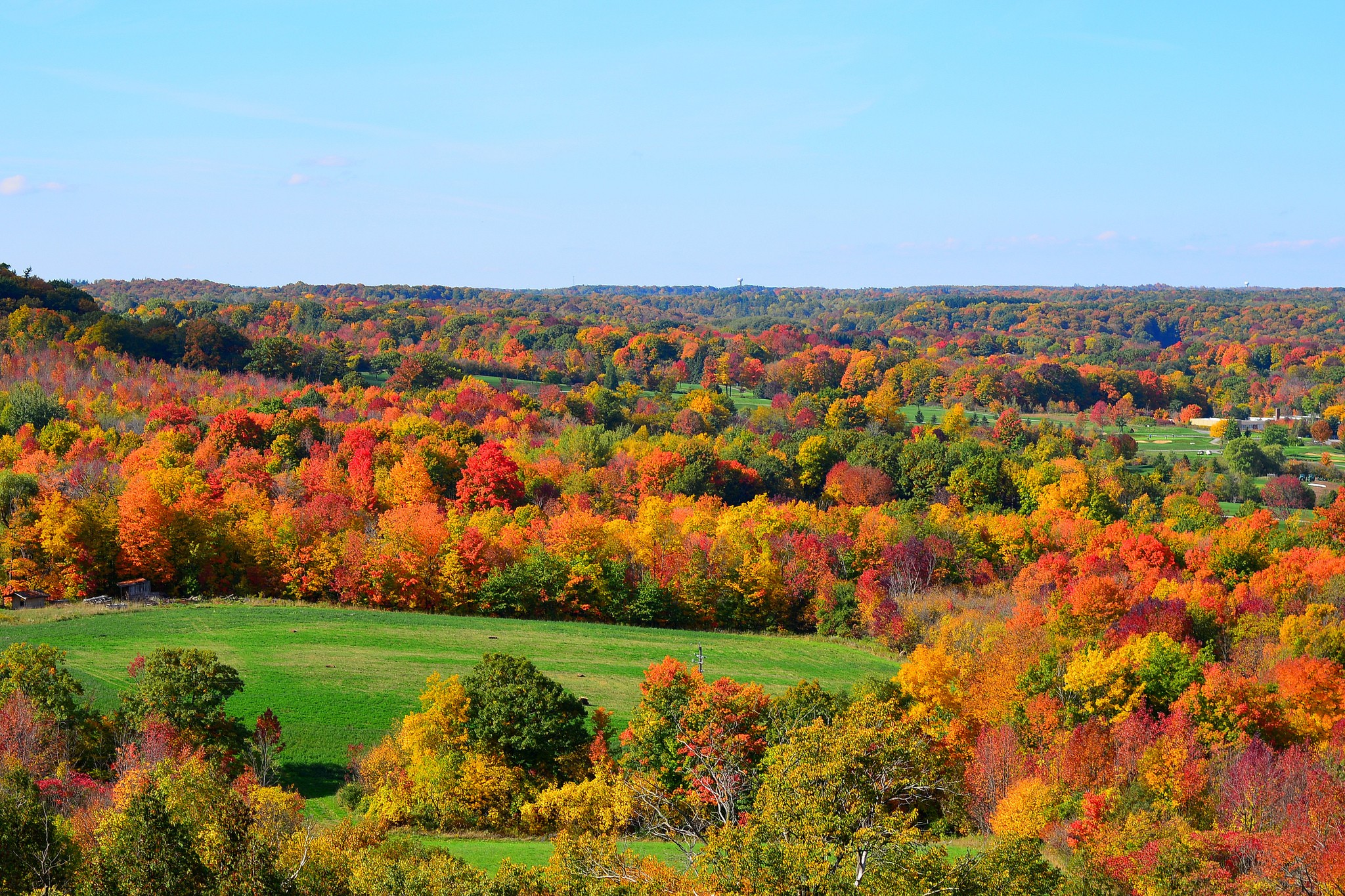 Descarga gratis la imagen Otoño, Bosque, Árbol, Tierra/naturaleza en el escritorio de tu PC