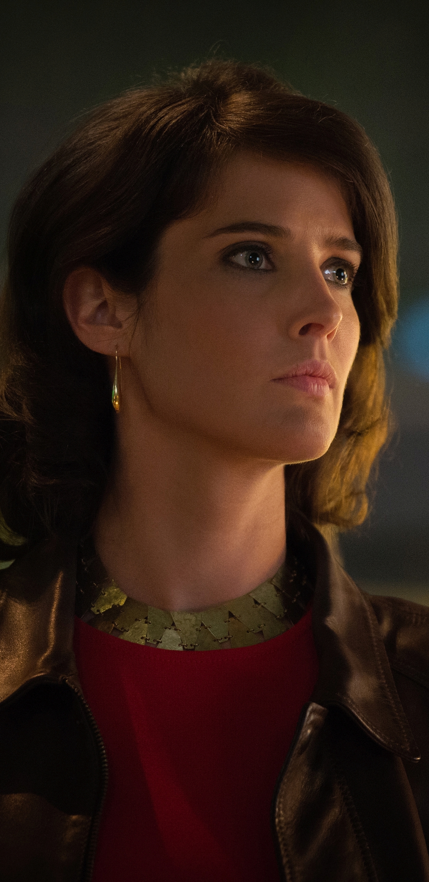 Free download wallpaper Movie, The Avengers, Cobie Smulders, Avengers: Age Of Ultron on your PC desktop