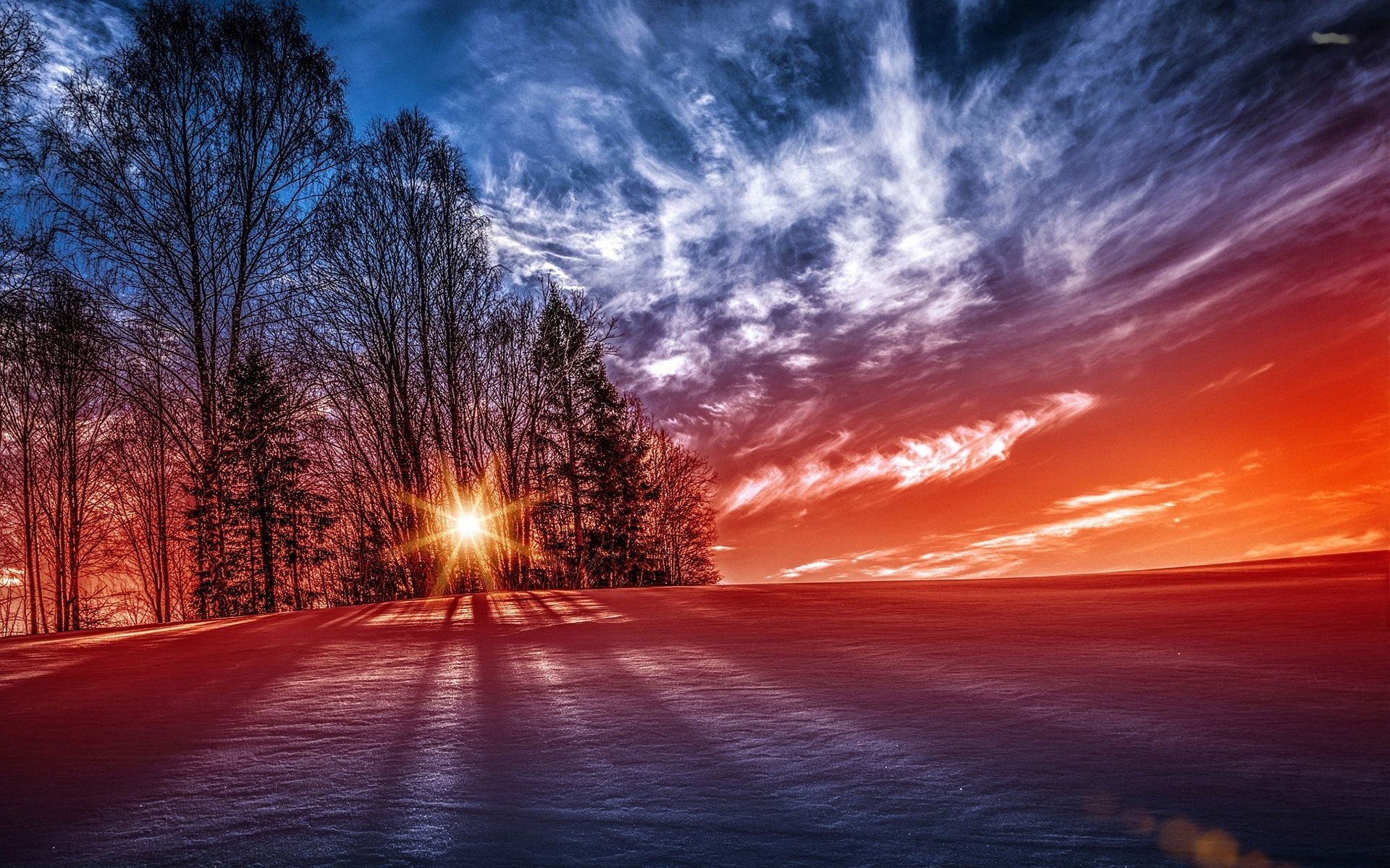 PCデスクトップに冬, 木, 日没, 雪, 地球画像を無料でダウンロード