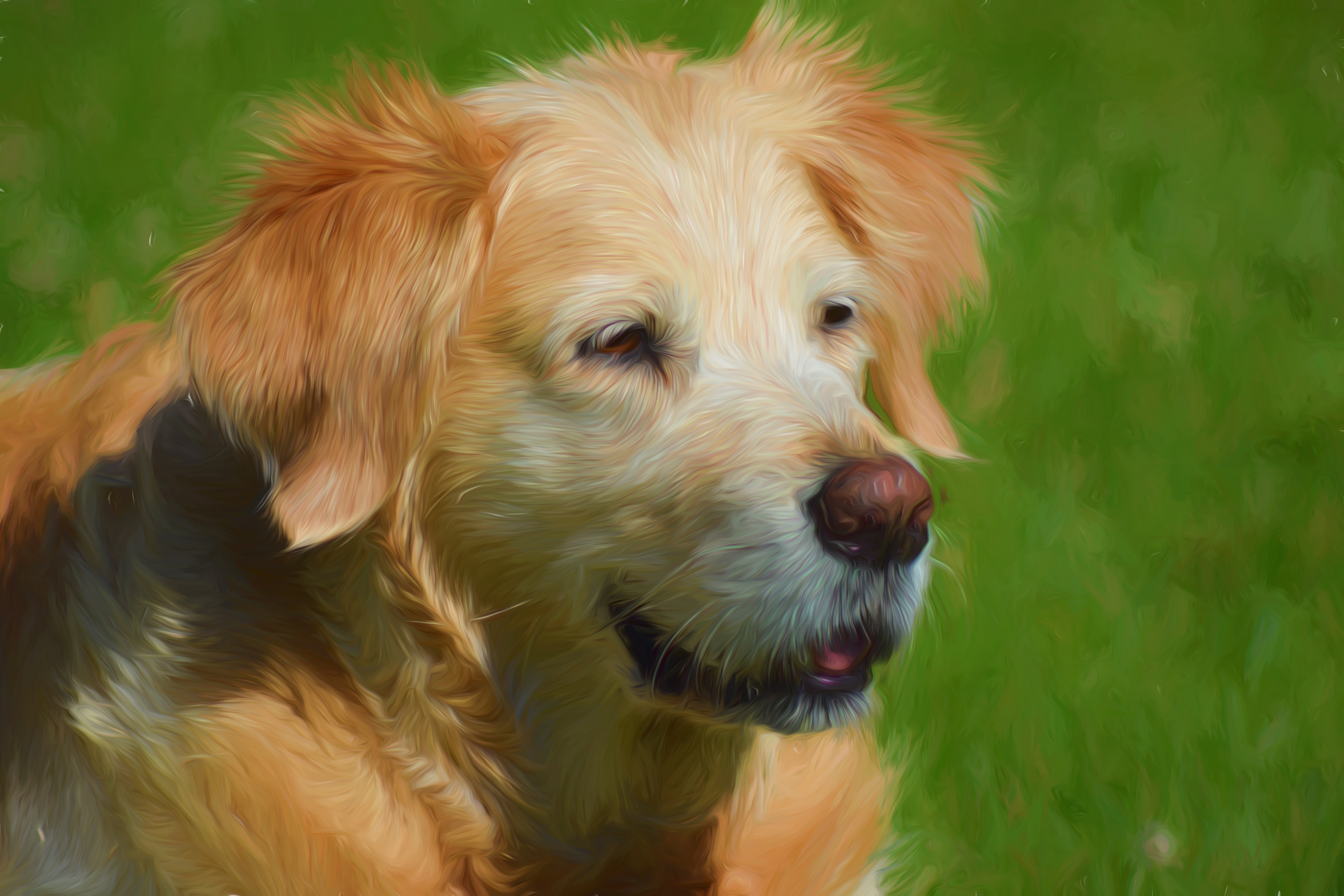 Laden Sie das Tiere, Hunde, Hund, Malerei, Ölgemälde-Bild kostenlos auf Ihren PC-Desktop herunter