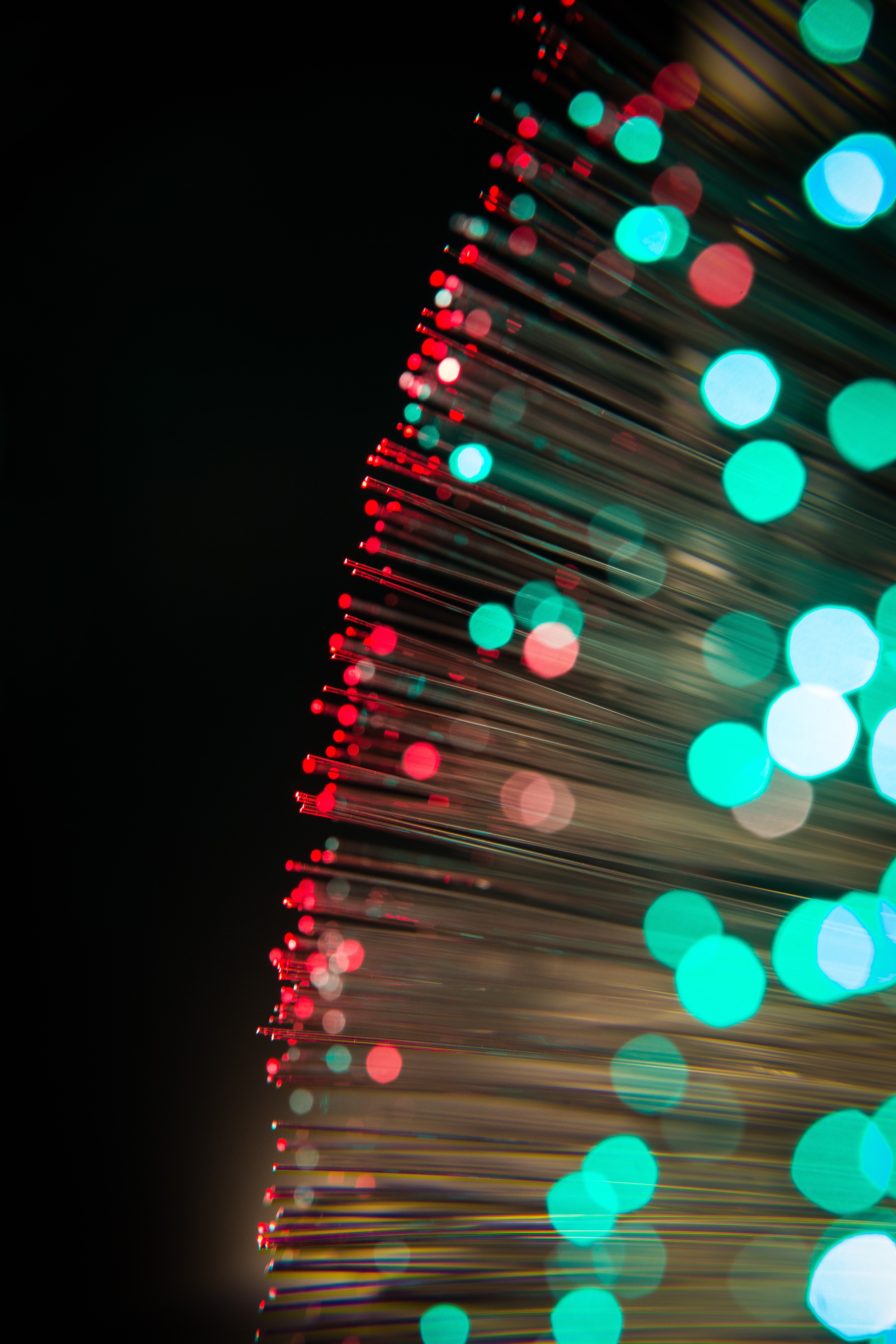 boquet, optical fiber, lights, macro, glare, glow, thread, bokeh HD wallpaper