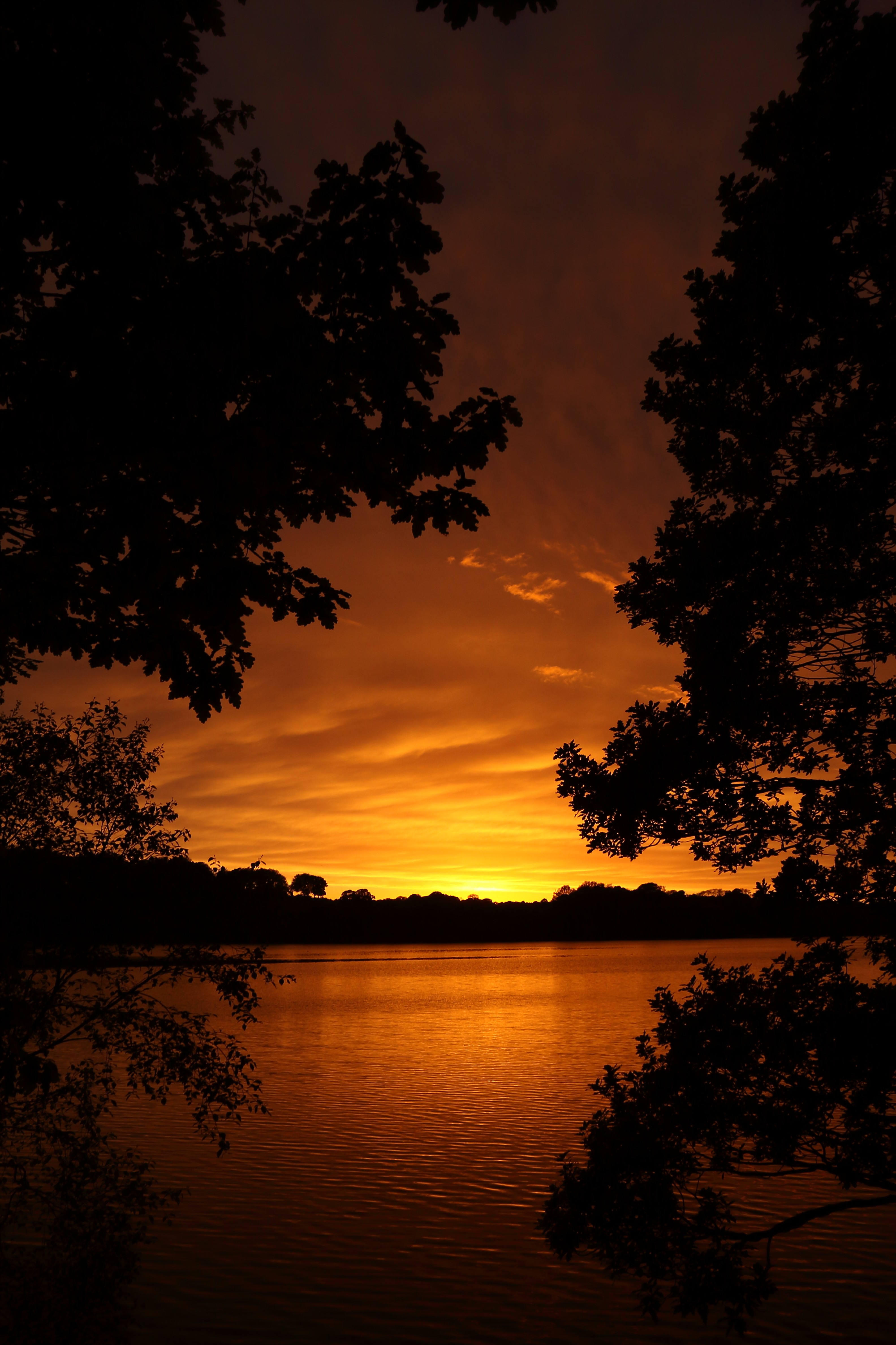 PCデスクトップに自然, 木, 日没, 湖, 地平線, イブニング, 夕方画像を無料でダウンロード