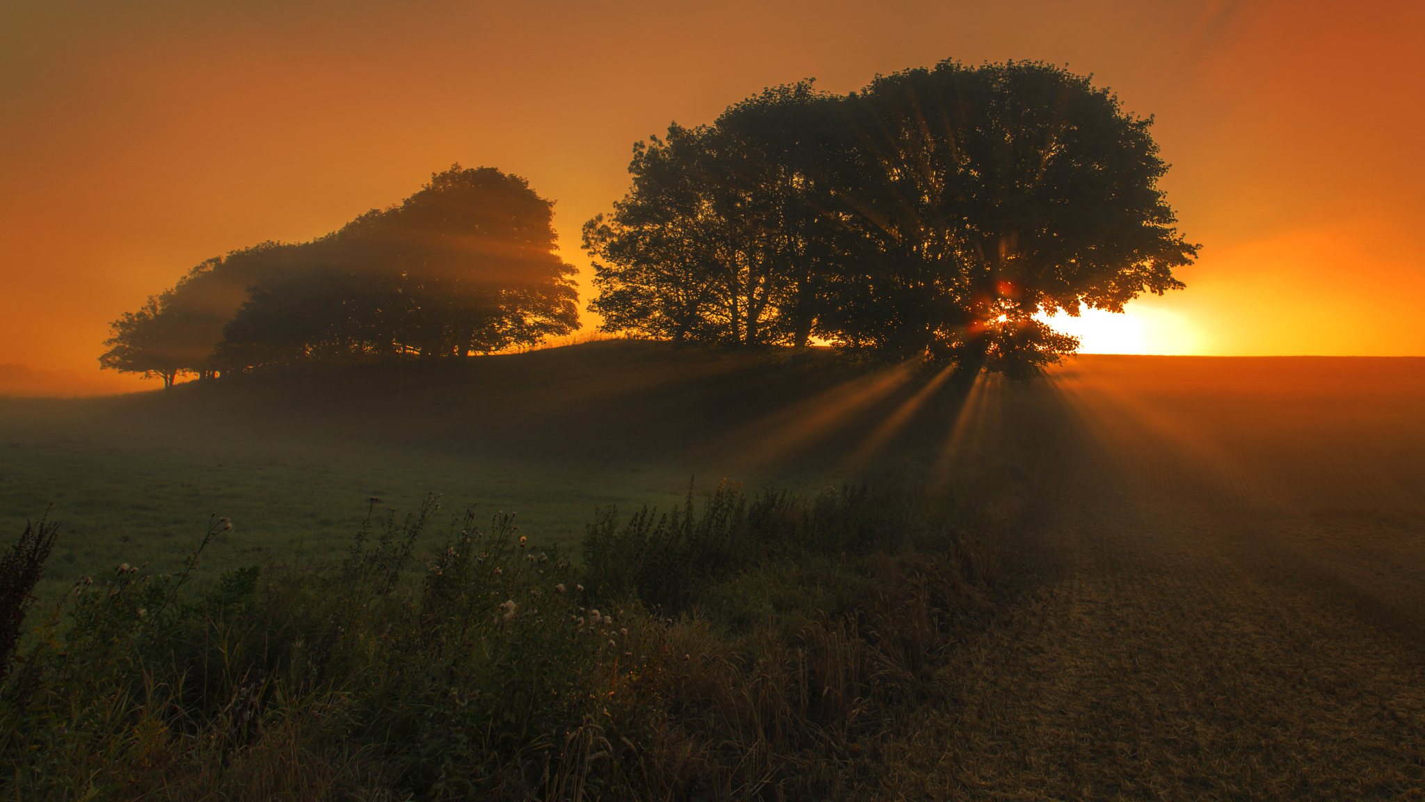 Laden Sie das Landschaft, Natur, Baum, Sonnenaufgang, Sonnenstrahl, Erde/natur, Orange Farbe)-Bild kostenlos auf Ihren PC-Desktop herunter