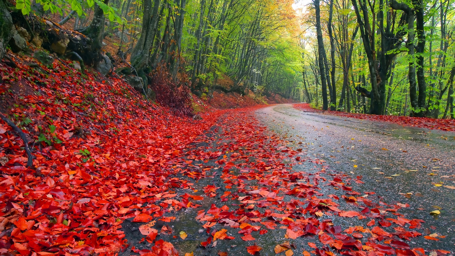 Descarga gratuita de fondo de pantalla para móvil de Carretera, Hecho Por El Hombre.