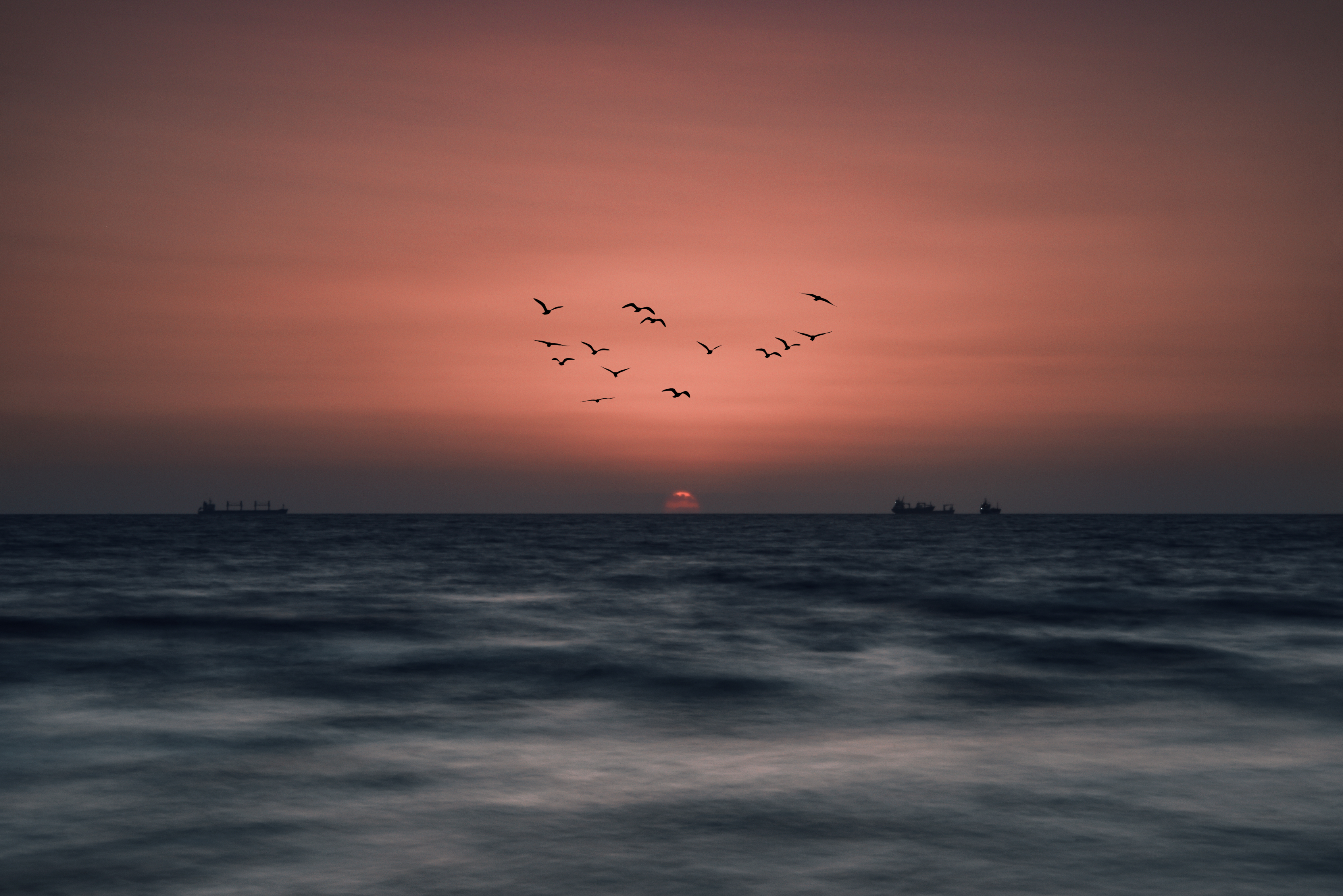 Free download wallpaper Nature, Horizon, Sun, Birds, Sea, Sunset on your PC desktop
