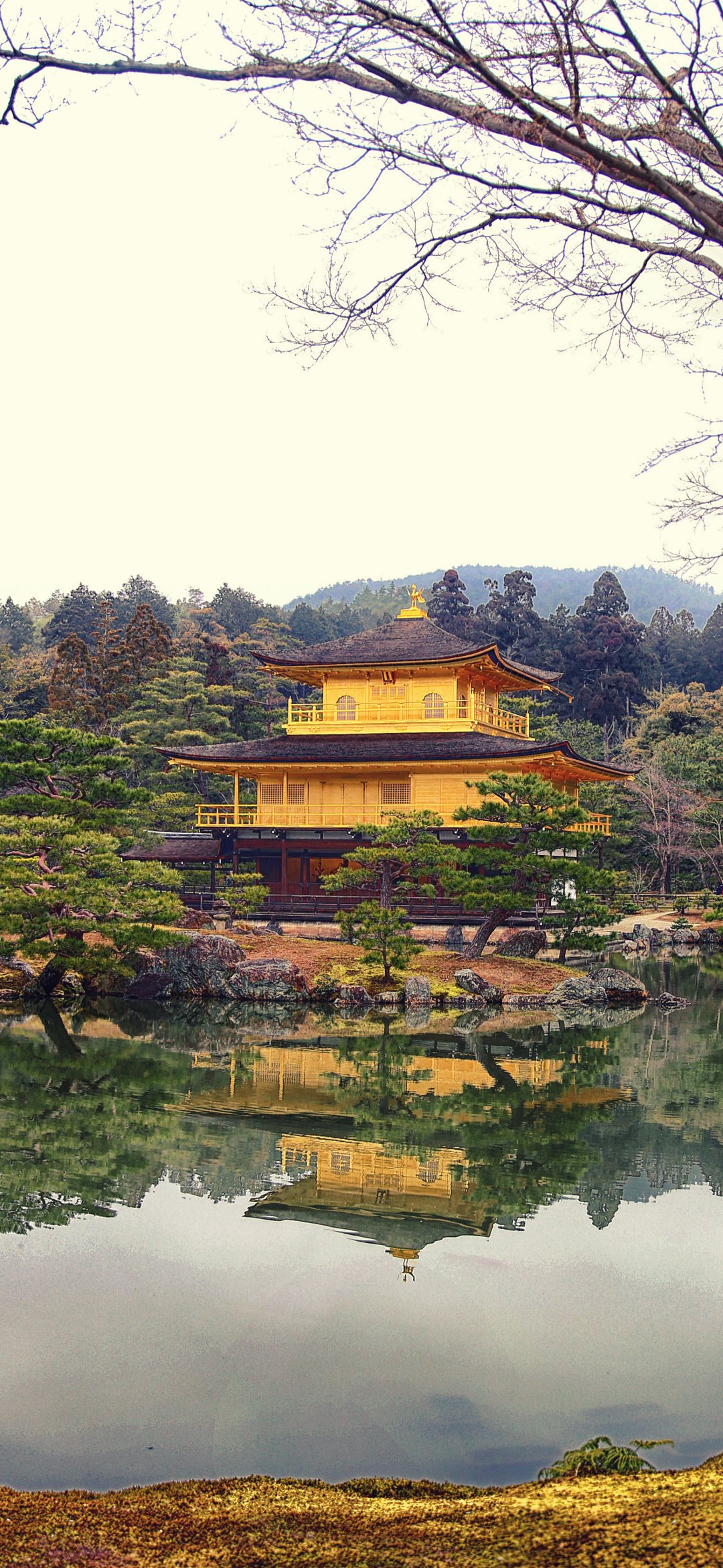 religious, kinkaku ji, nature, kyoto, reflection, the temple of the golden pavilion, golden temple, japan, landscape, temples