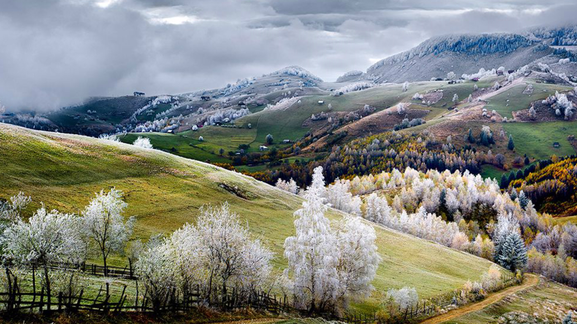 Descarga gratuita de fondo de pantalla para móvil de Invierno, Tierra/naturaleza.