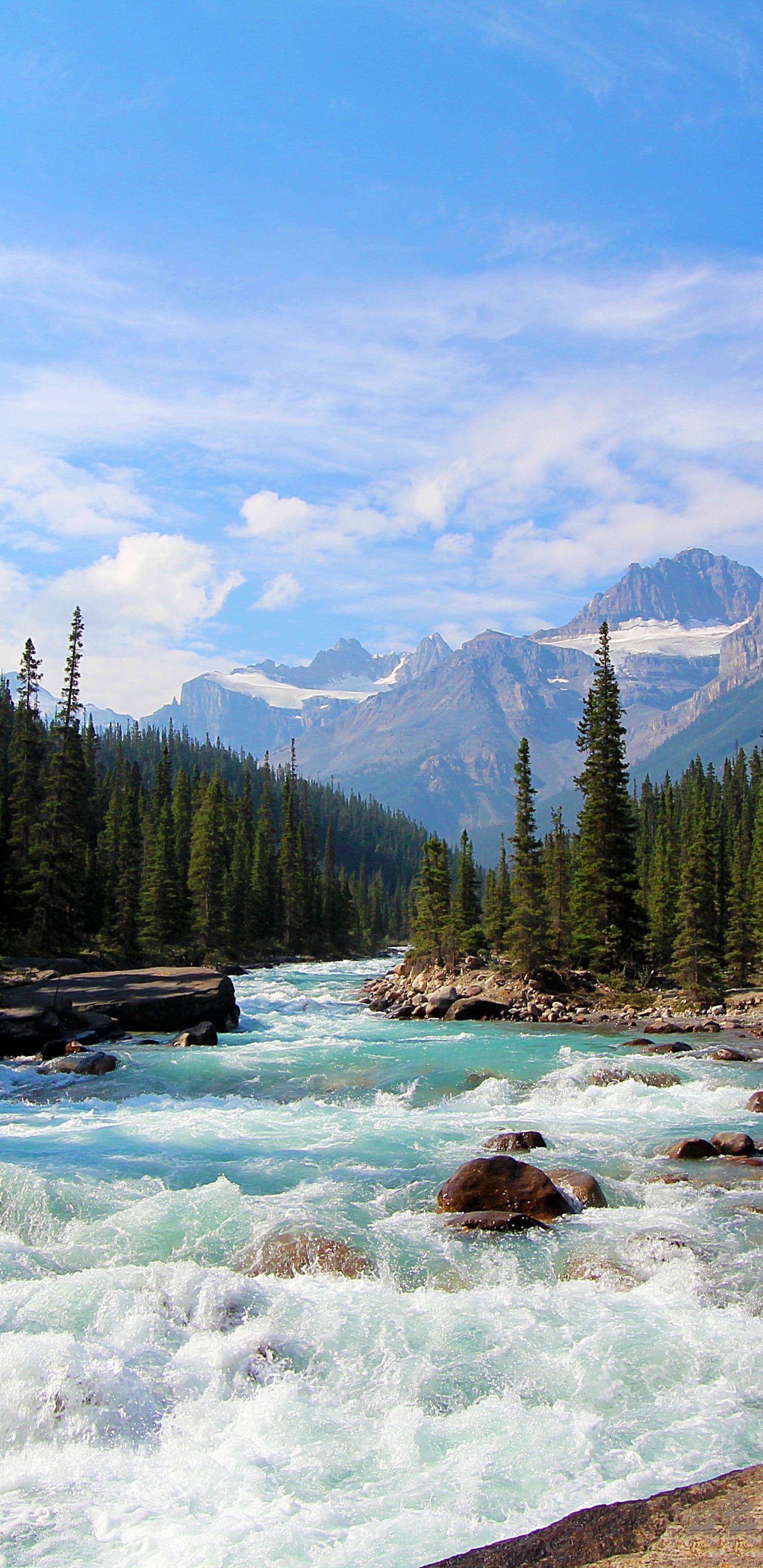 無料モバイル壁紙風景, 川, カナダ, 森, 地球, バンフ国立公園をダウンロードします。