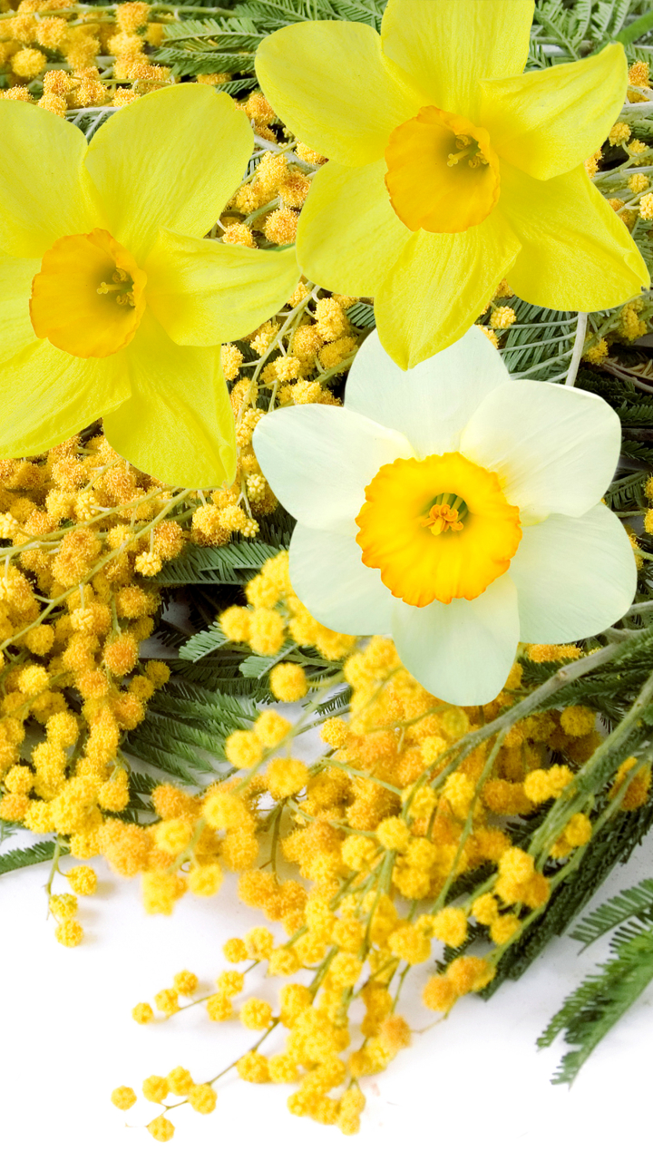 Descarga gratuita de fondo de pantalla para móvil de Flores, Flor, Narciso, Flor Amarilla, Flor Blanca, Tierra/naturaleza.