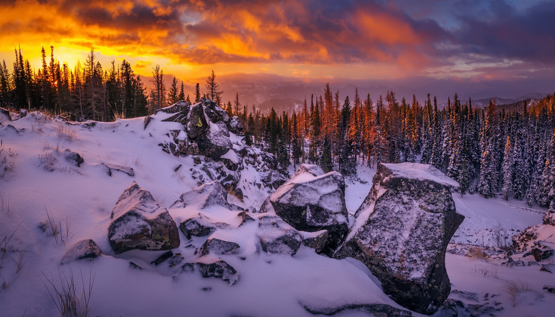 PCデスクトップに風景, 冬, 自然, 雪, 森, 日の出, 地球画像を無料でダウンロード