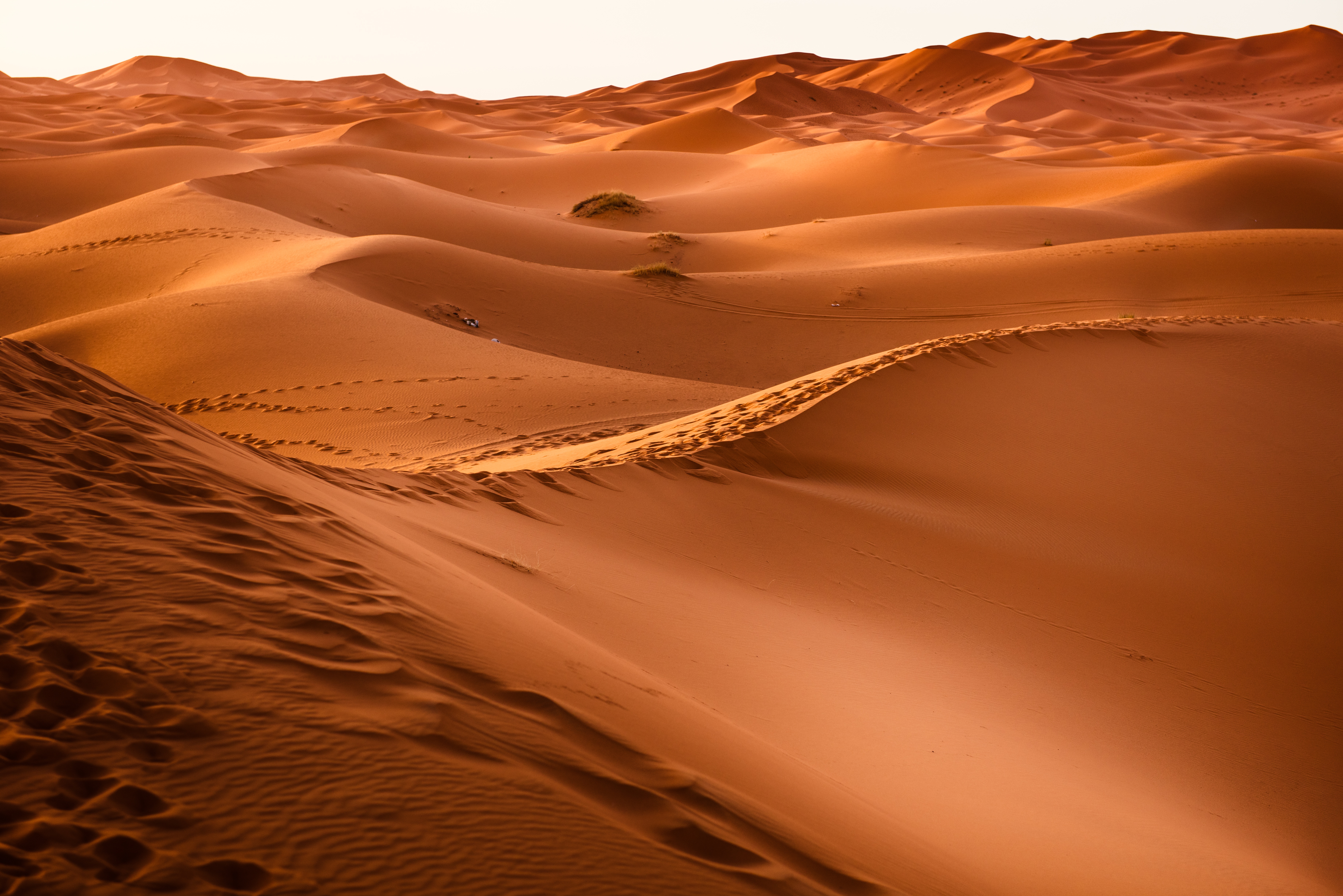155509 Hintergrundbild herunterladen wüste, natur, sand, marokko, düne, dune - Bildschirmschoner und Bilder kostenlos