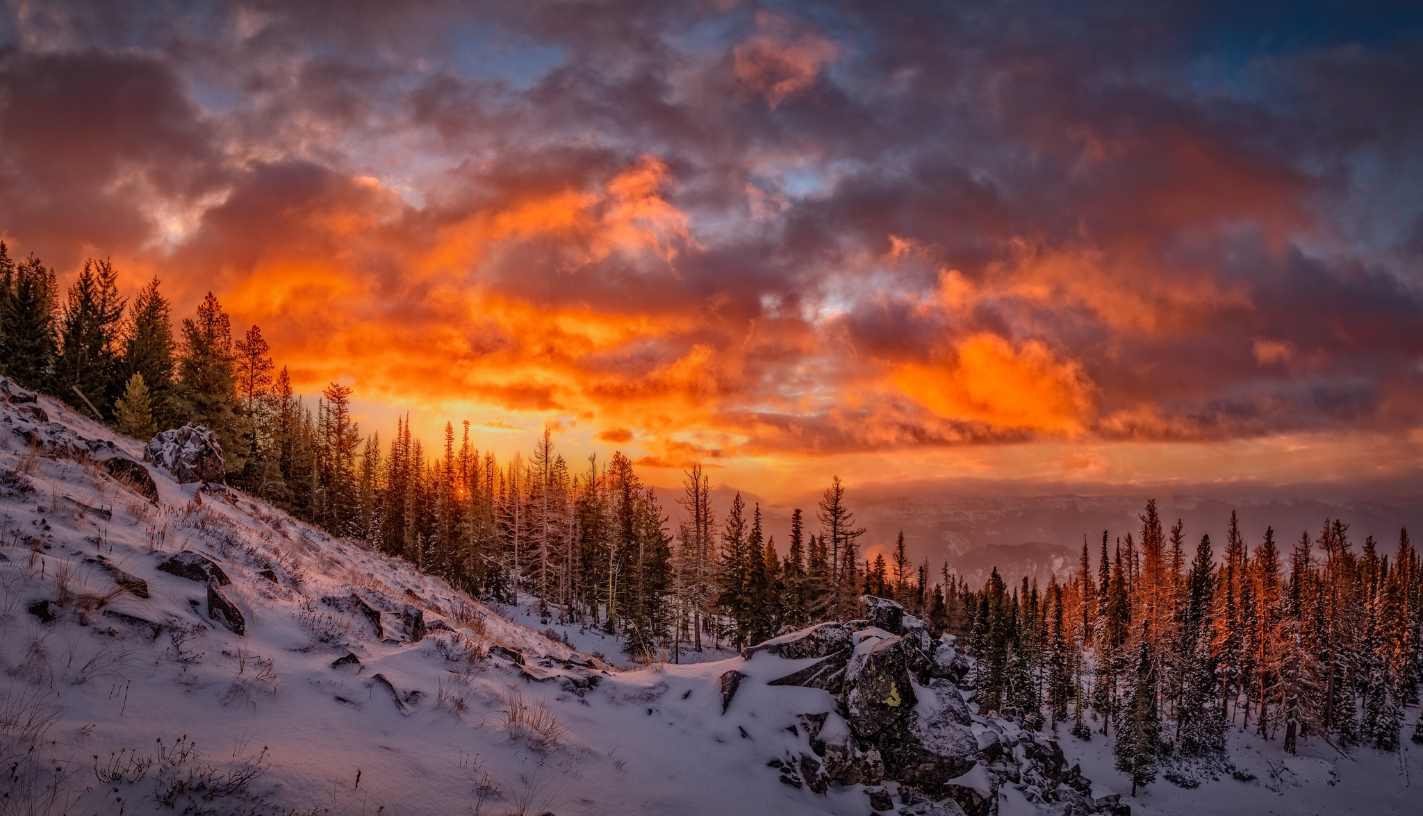 PCデスクトップに風景, 冬, 自然, 日没, 雪, 森, 地球, クラウド画像を無料でダウンロード
