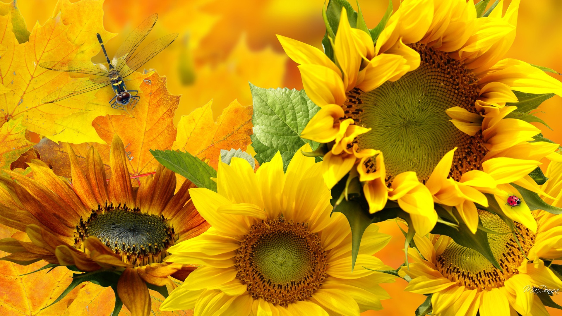PCデスクトップにフラワーズ, ひまわり, トンボ, 花, 芸術的, 黄色い花画像を無料でダウンロード