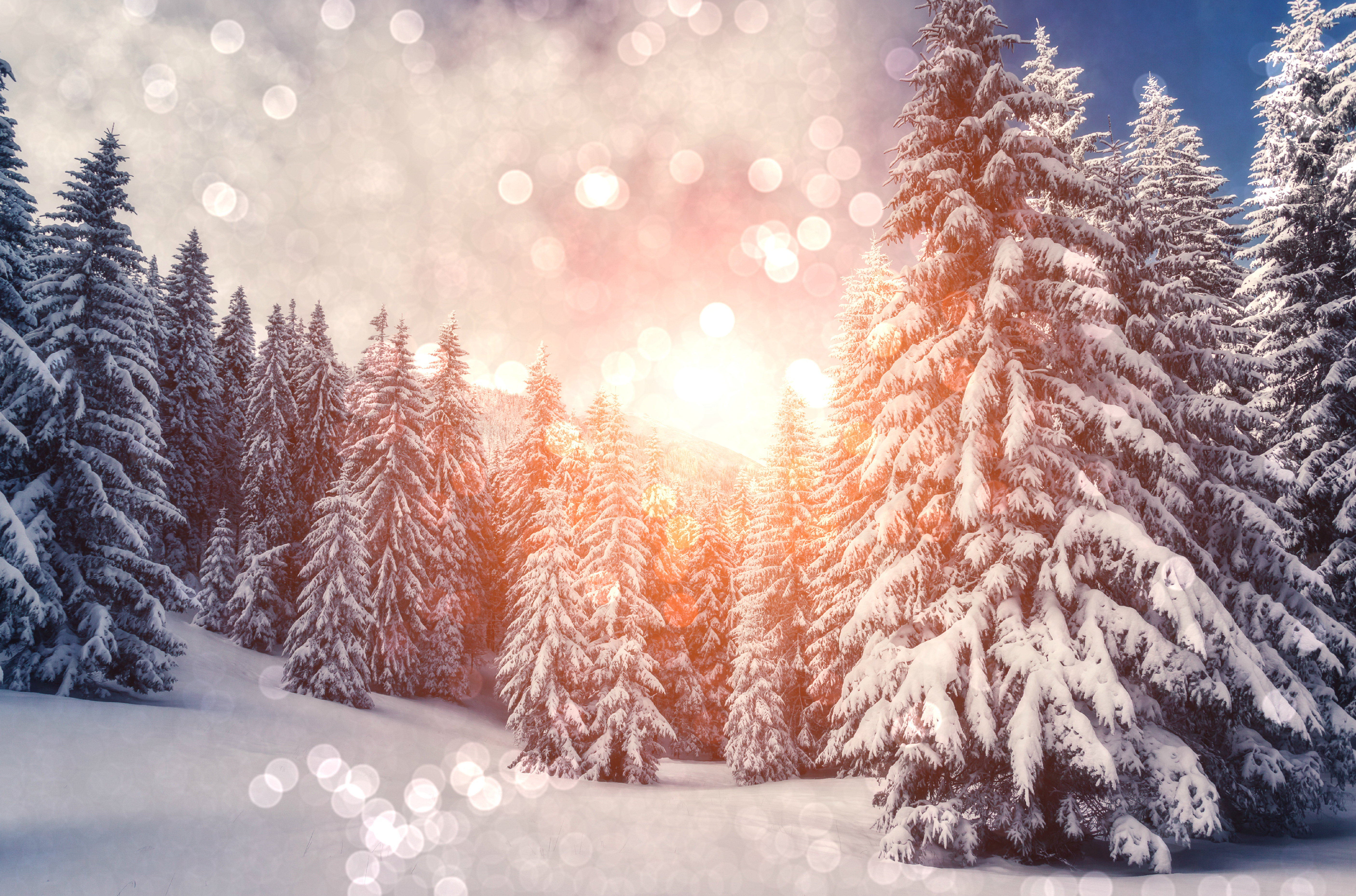 Download mobile wallpaper Winter, Earth for free.