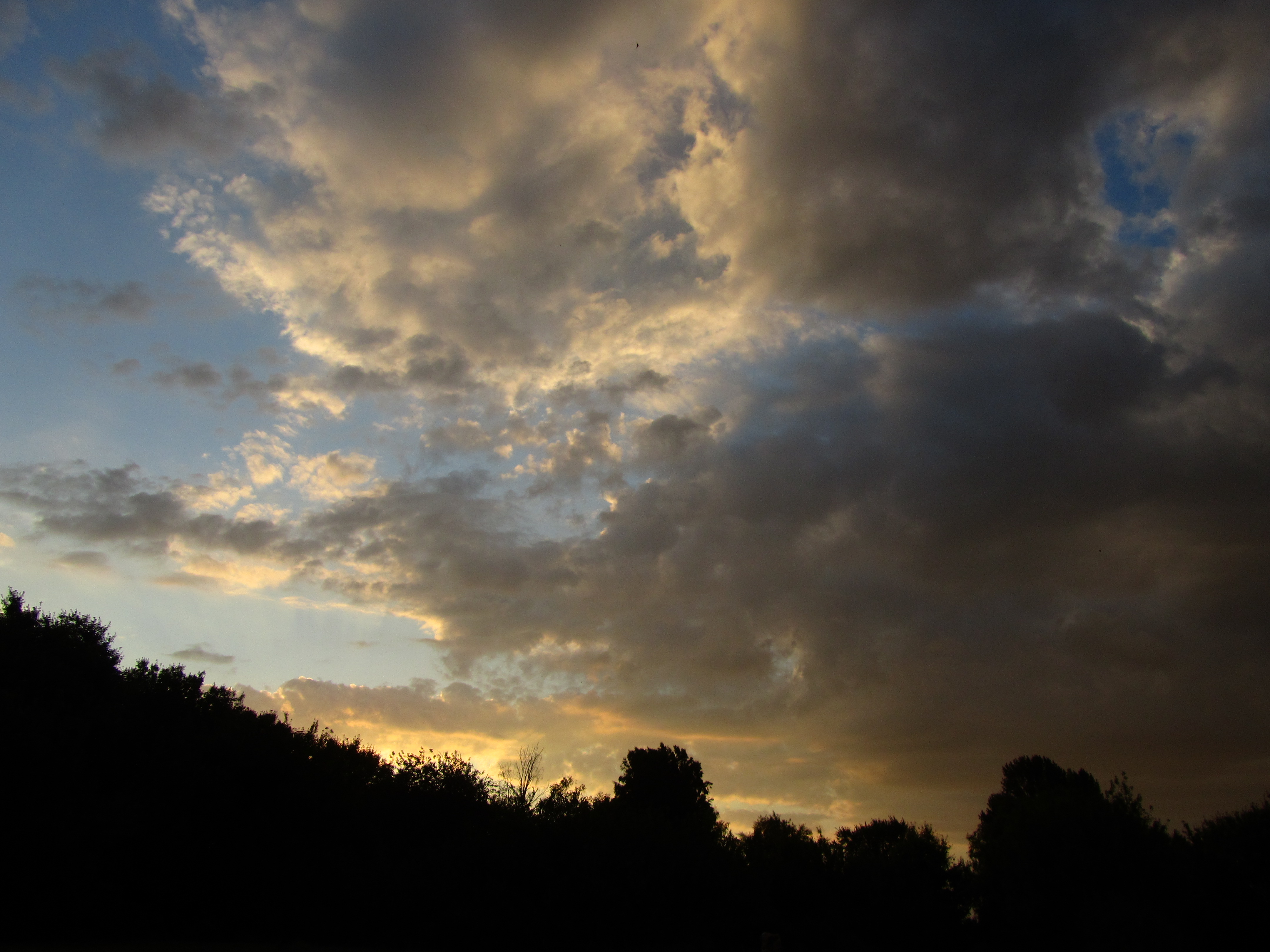 Descarga gratis la imagen Nube, Tierra/naturaleza en el escritorio de tu PC