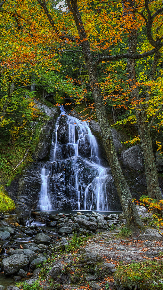 Handy-Wallpaper Natur, Herbst, Wasserfälle, Wasserfall, Wald, Baum, Erde, Erde/natur kostenlos herunterladen.
