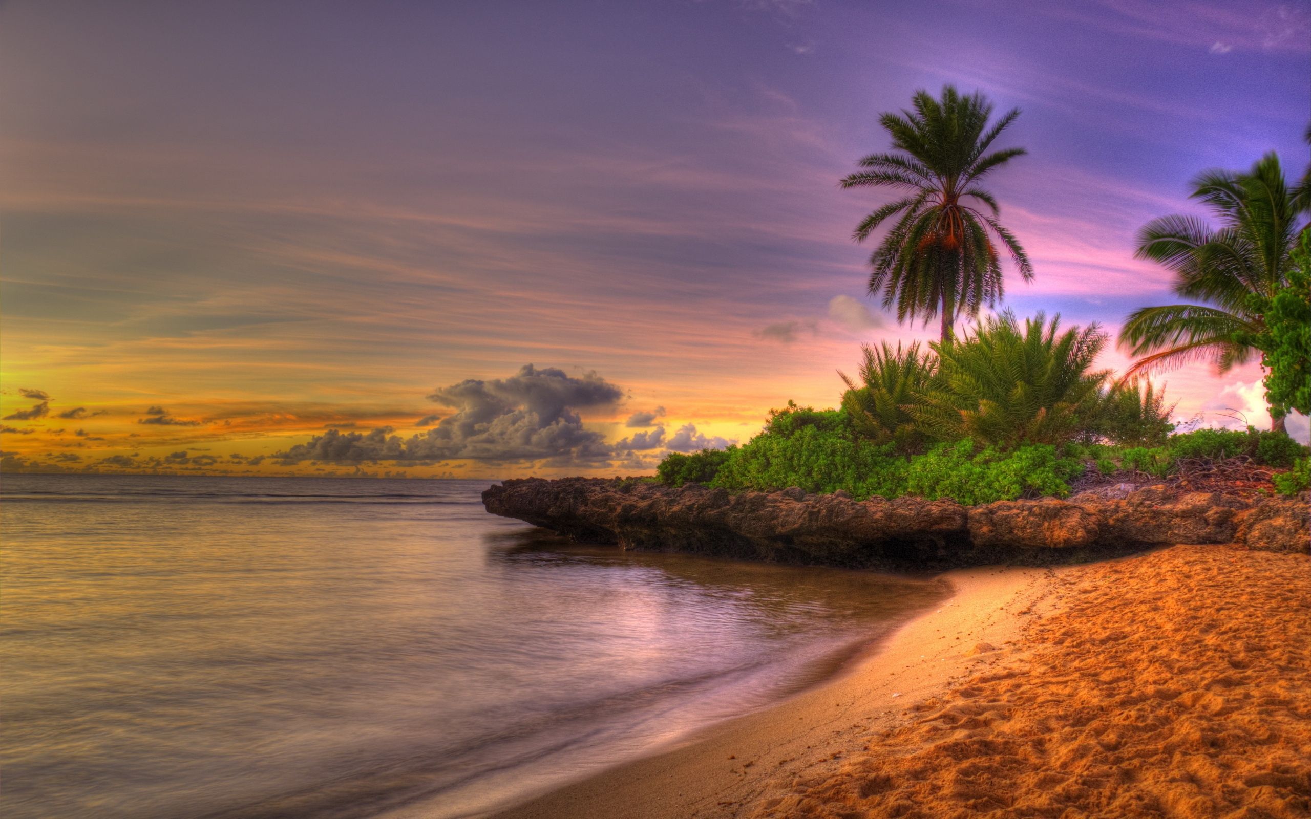 beach, nature, sunset, sky, clouds, sand, palms, horizon, shore, bank, tropics, loose, friable