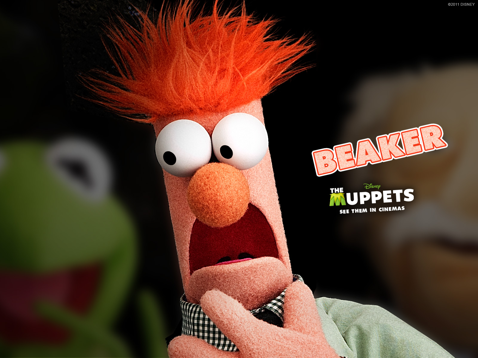 Descargar fondos de escritorio de Los Muppets HD