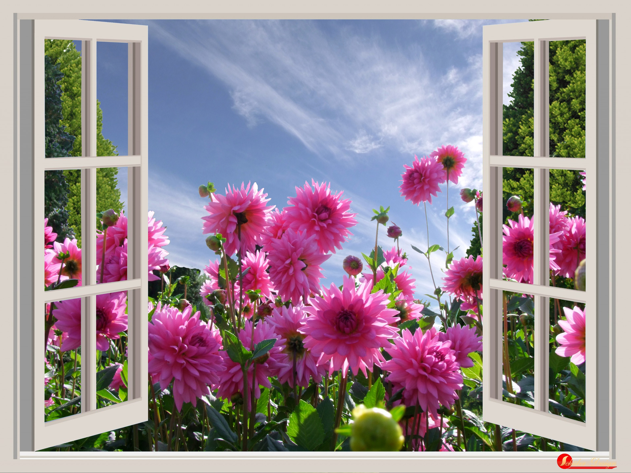 Téléchargez gratuitement l'image Fleurs, Fleur, Terre/nature sur le bureau de votre PC