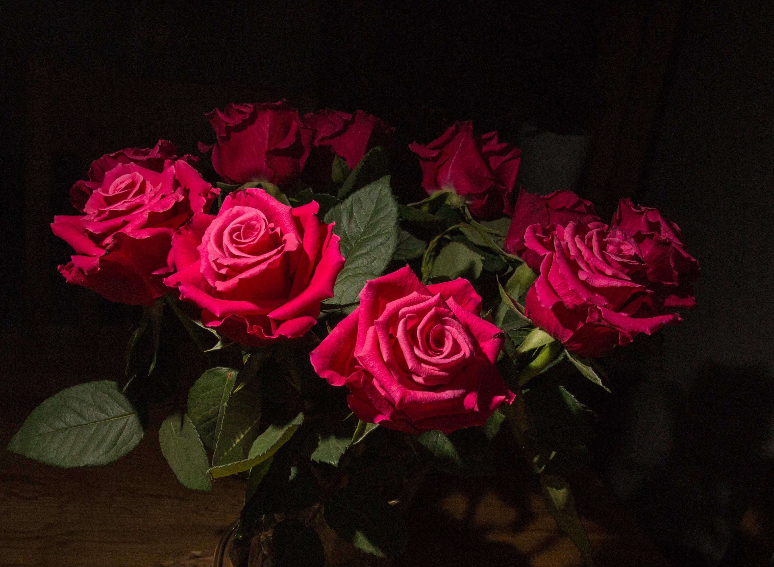 Скачать обои бесплатно Природа, Цветок, Роза, Сделано Человеком, Розовый Цветок картинка на рабочий стол ПК
