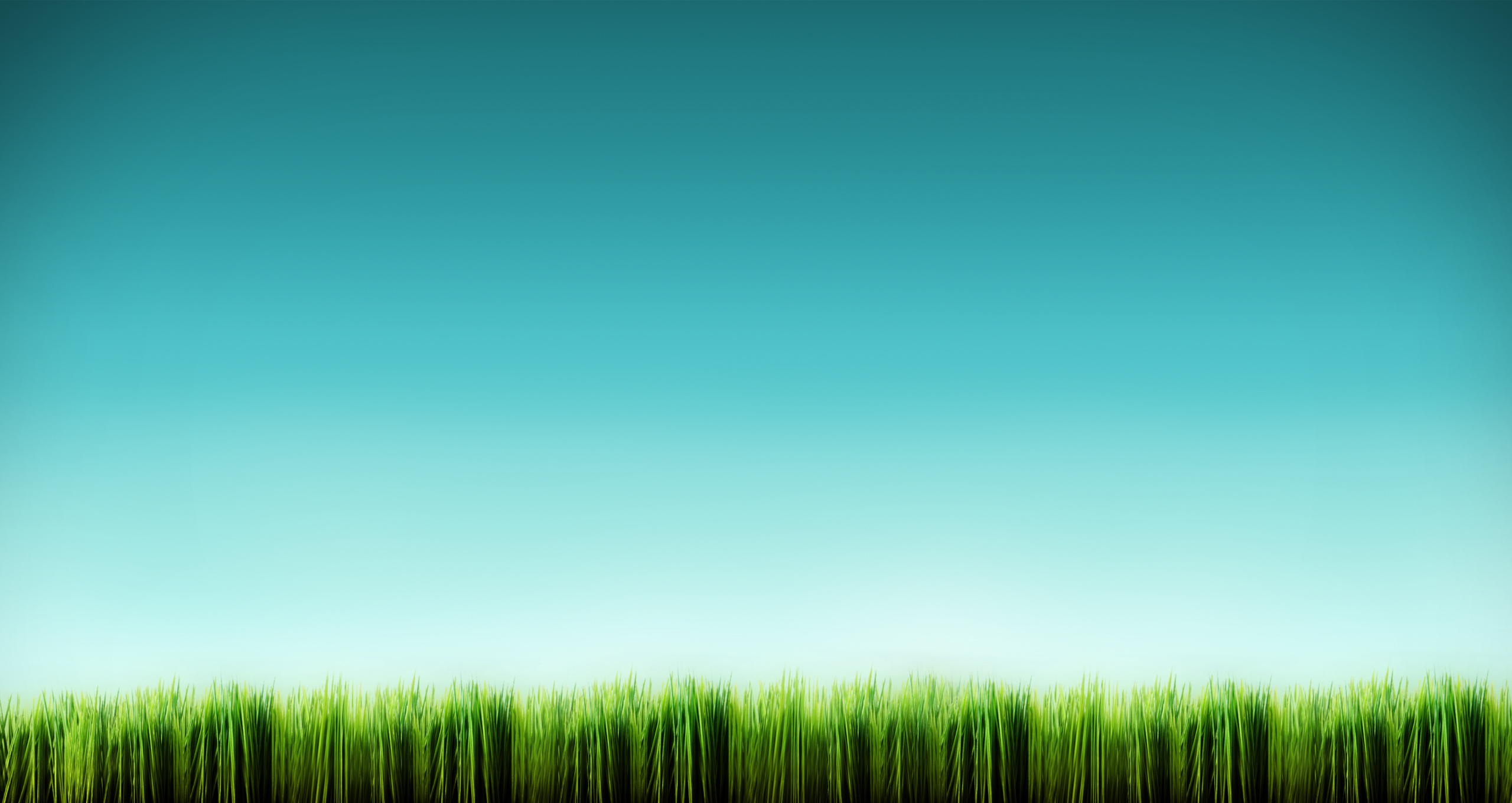 Free download wallpaper Grass, Earth, Artistic on your PC desktop