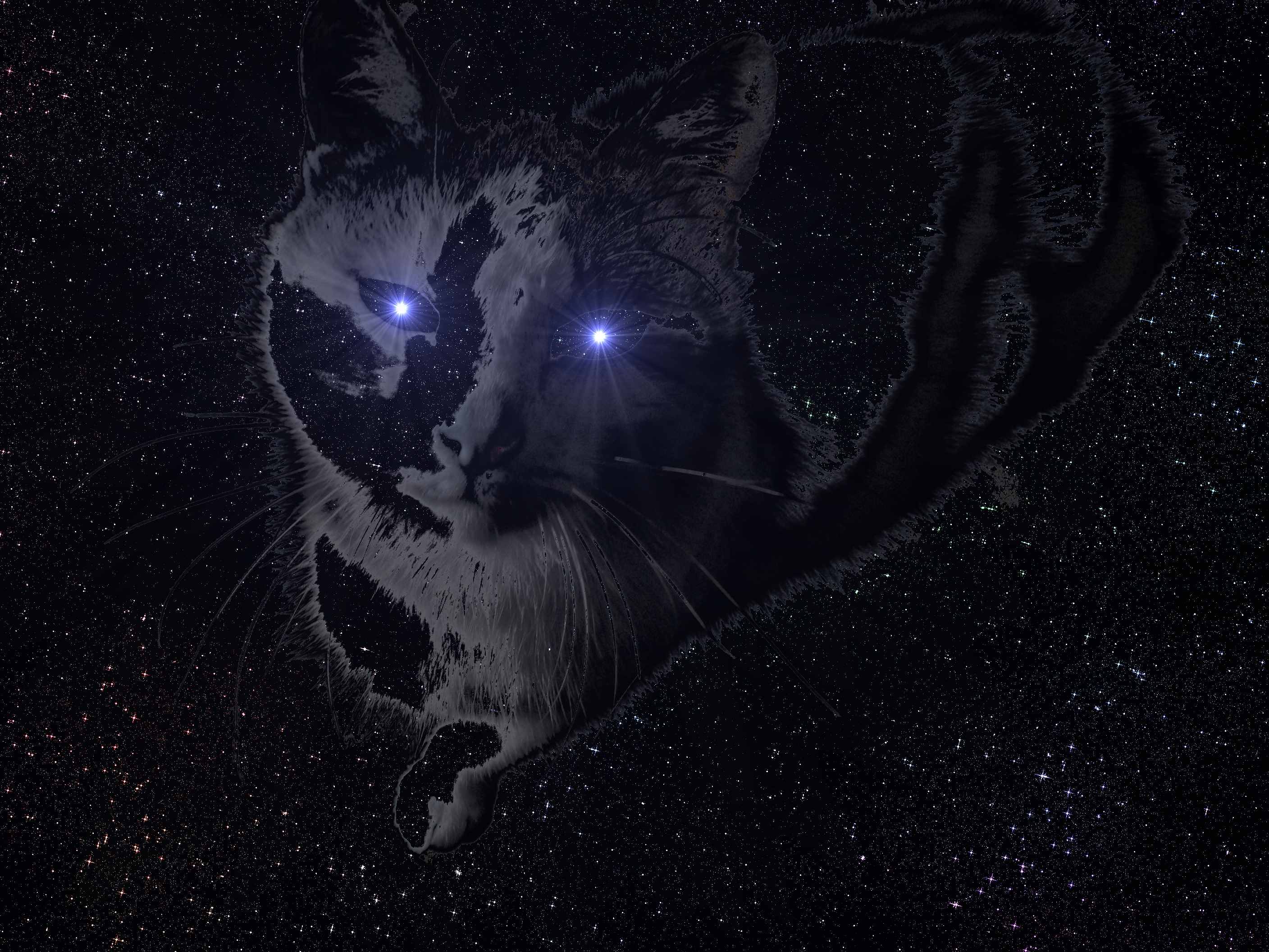Laden Sie das Katze, Science Fiction, Künstlerisch-Bild kostenlos auf Ihren PC-Desktop herunter