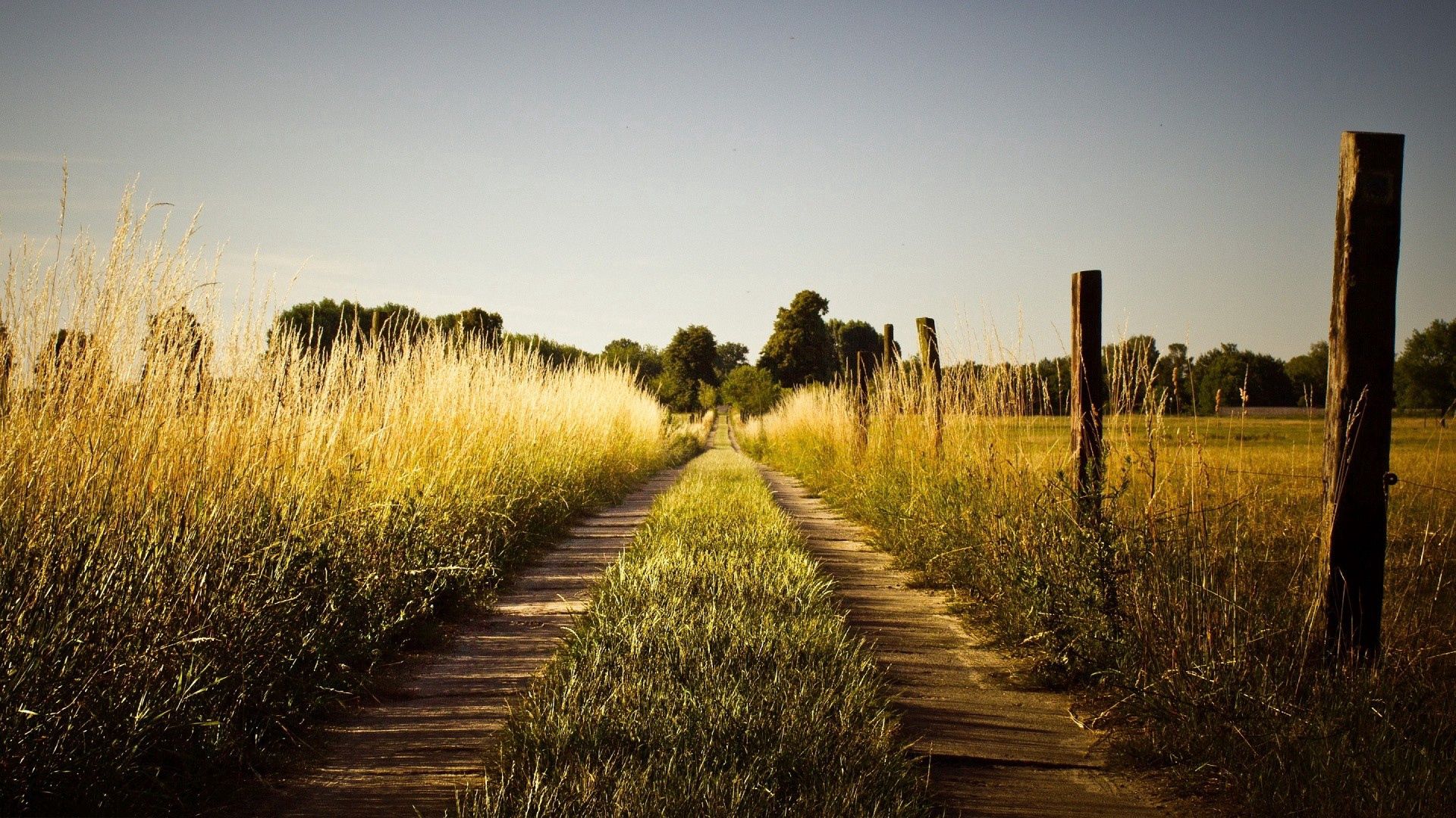 Free download wallpaper Nature, Grass, Sky, Path, Trail on your PC desktop