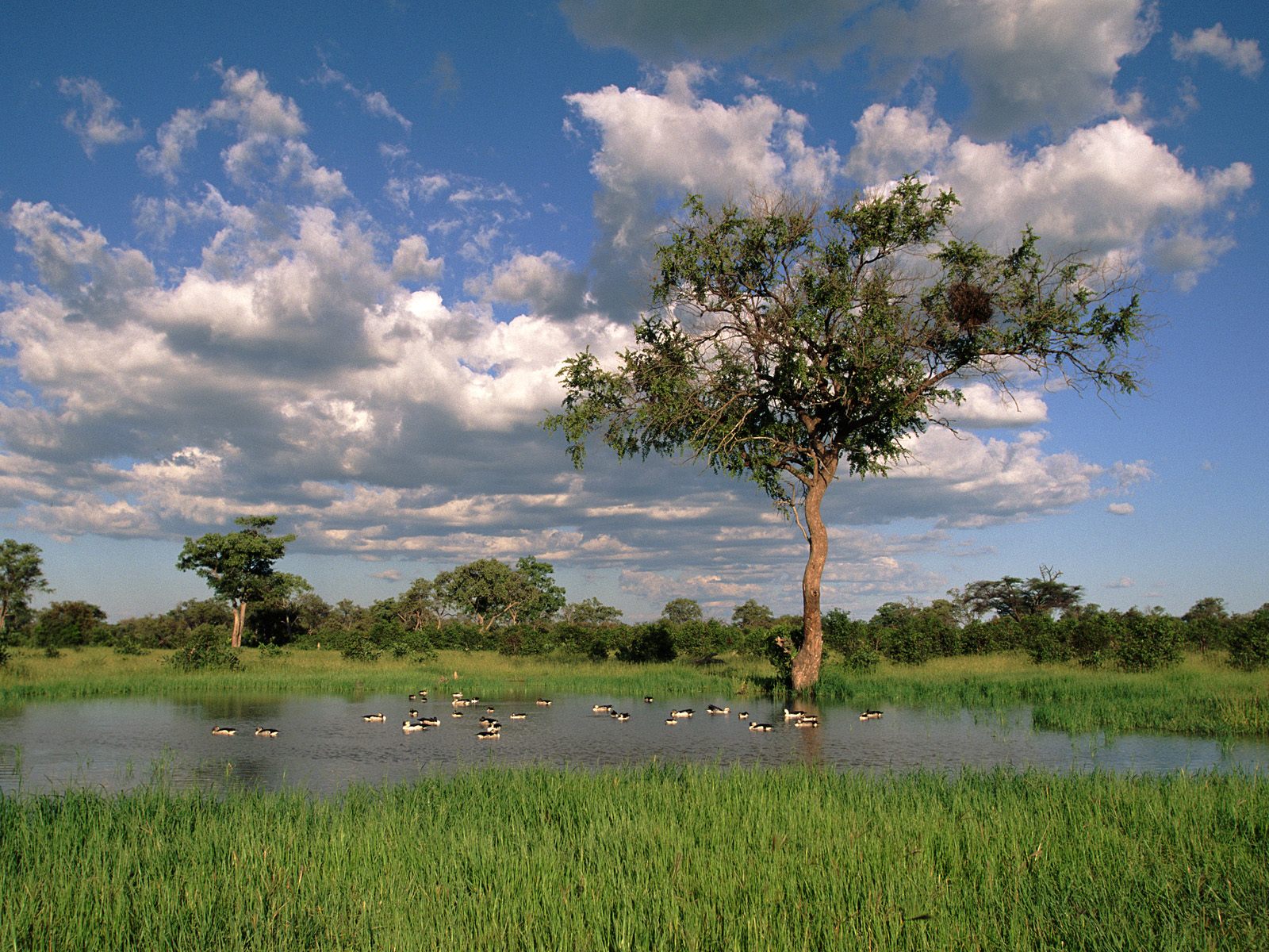 Descarga gratis la imagen Paisaje, Tierra/naturaleza en el escritorio de tu PC