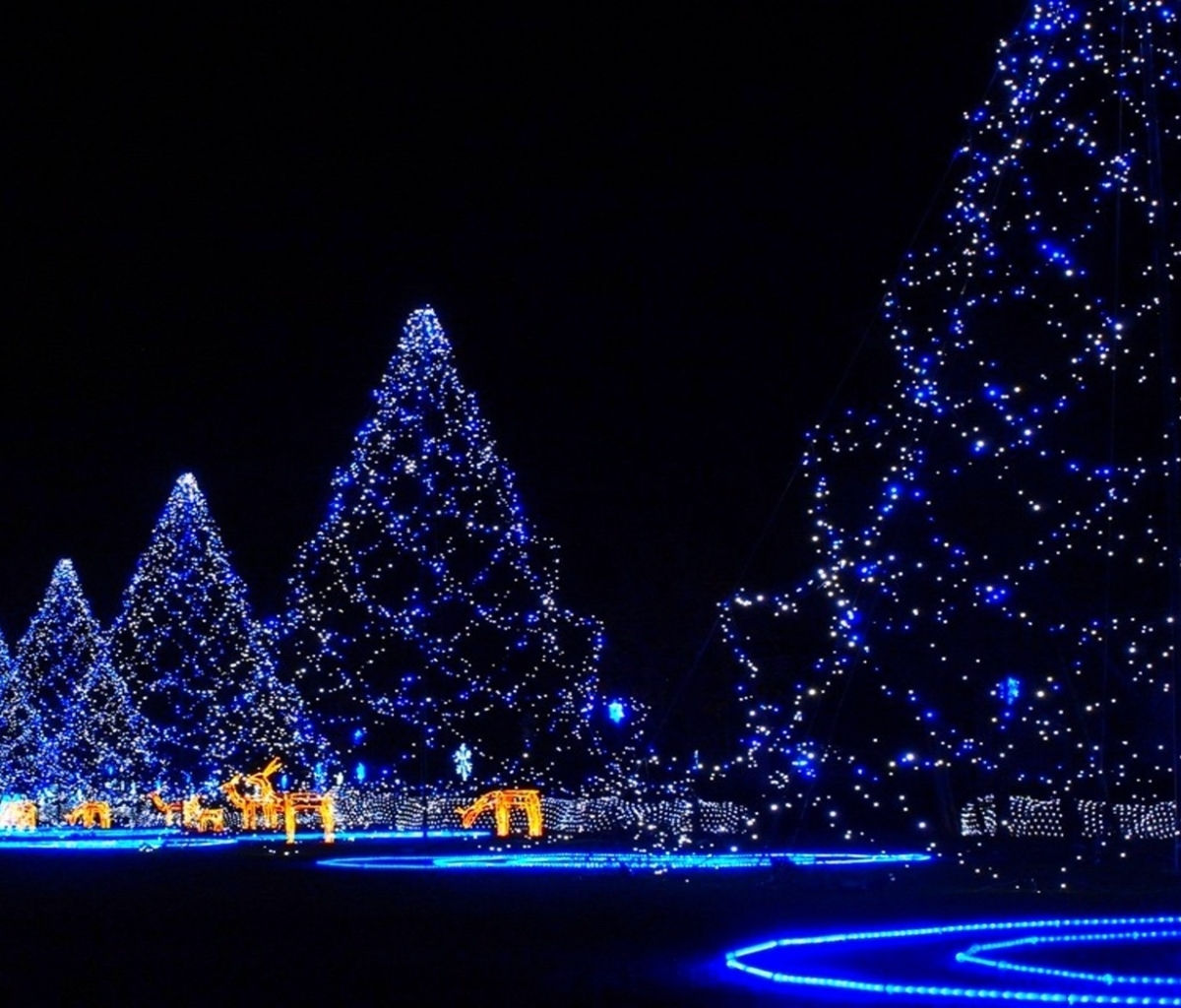 Laden Sie das Feiertage, Weihnachten, Licht, Weihnachtsbaum, Nacht, Weihnachtsbeleuchtung-Bild kostenlos auf Ihren PC-Desktop herunter