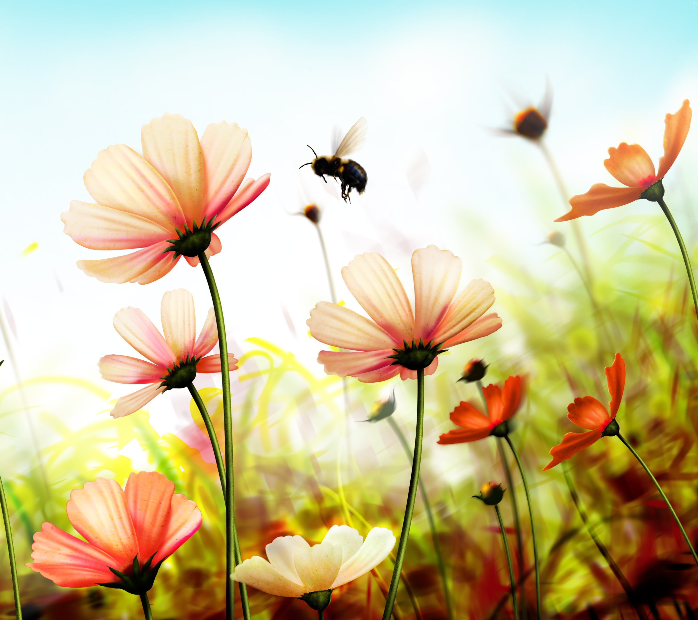 無料モバイル壁紙自然, フラワーズ, 宇宙, ミツバチ, 花, 地球, 蜂, サニー, ピンクの花をダウンロードします。