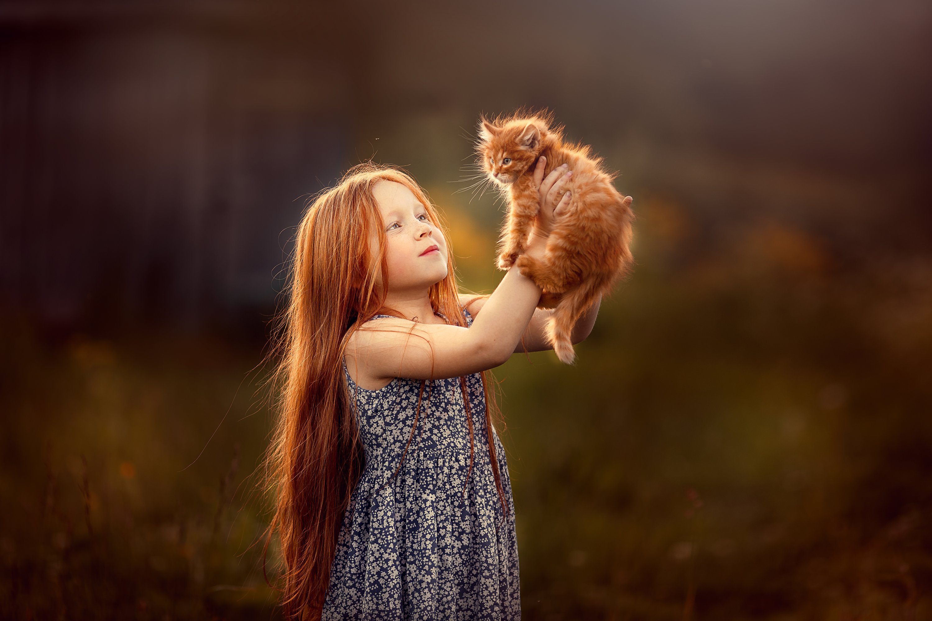 Download mobile wallpaper Cat, Kitten, Redhead, Child, Photography, Long Hair, Baby Animal, Little Girl for free.