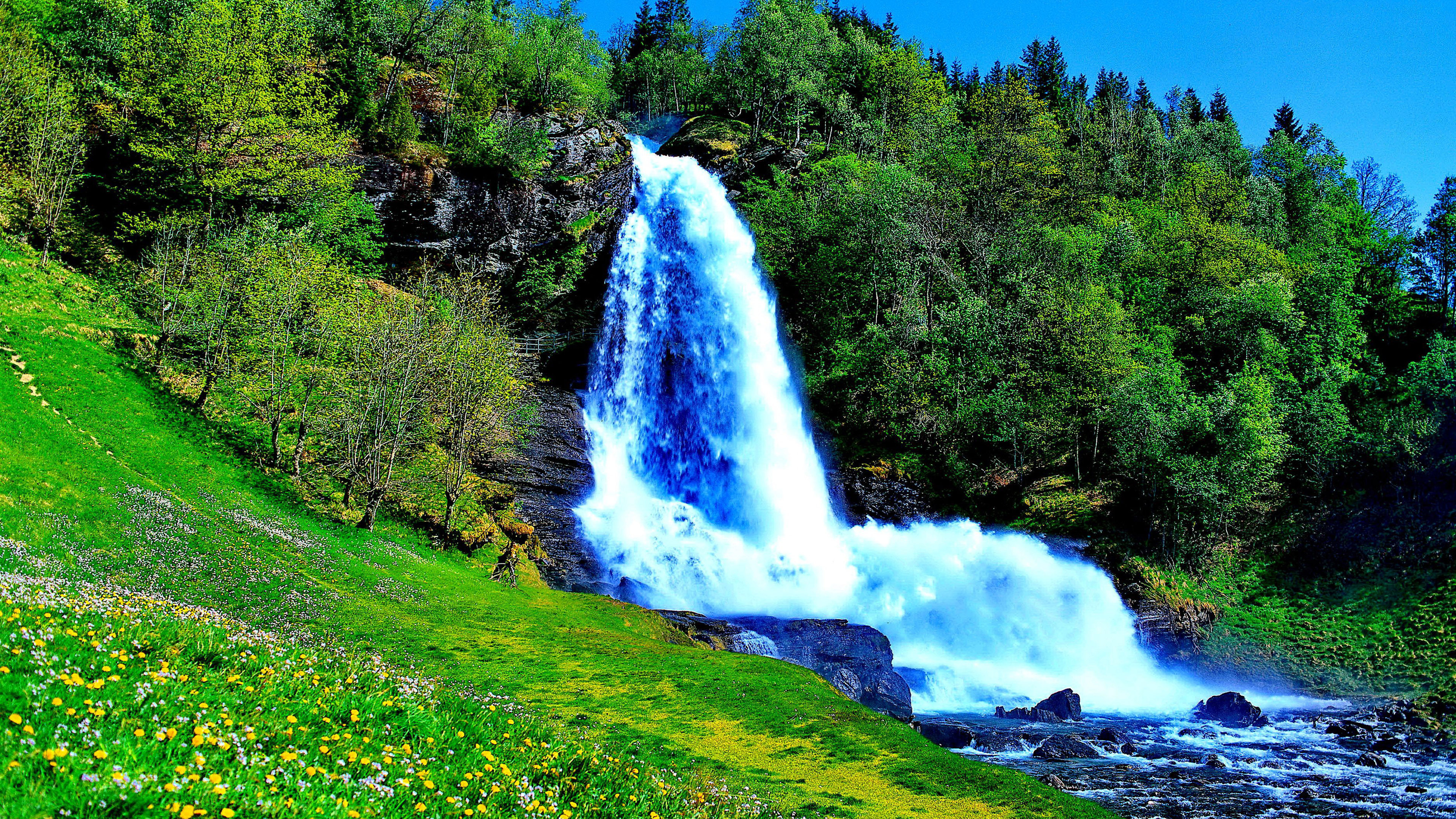 Handy-Wallpaper Wasserfälle, Wasserfall, Baum, Gras, Erde/natur kostenlos herunterladen.