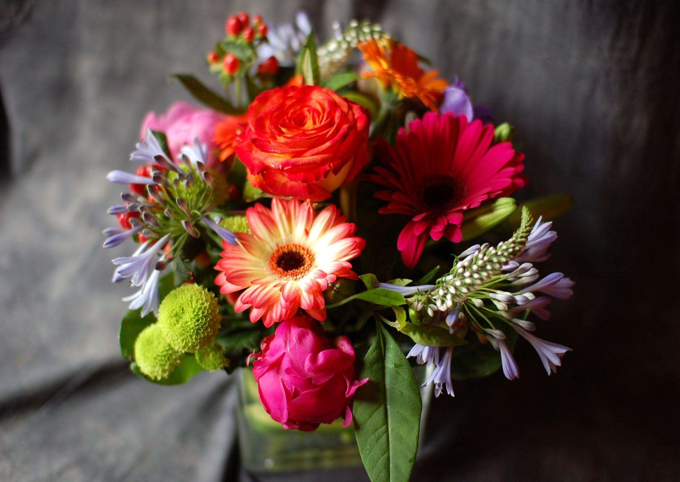flowers, roses, chrysanthemum, gerberas, bouquet, composition, agapanthus