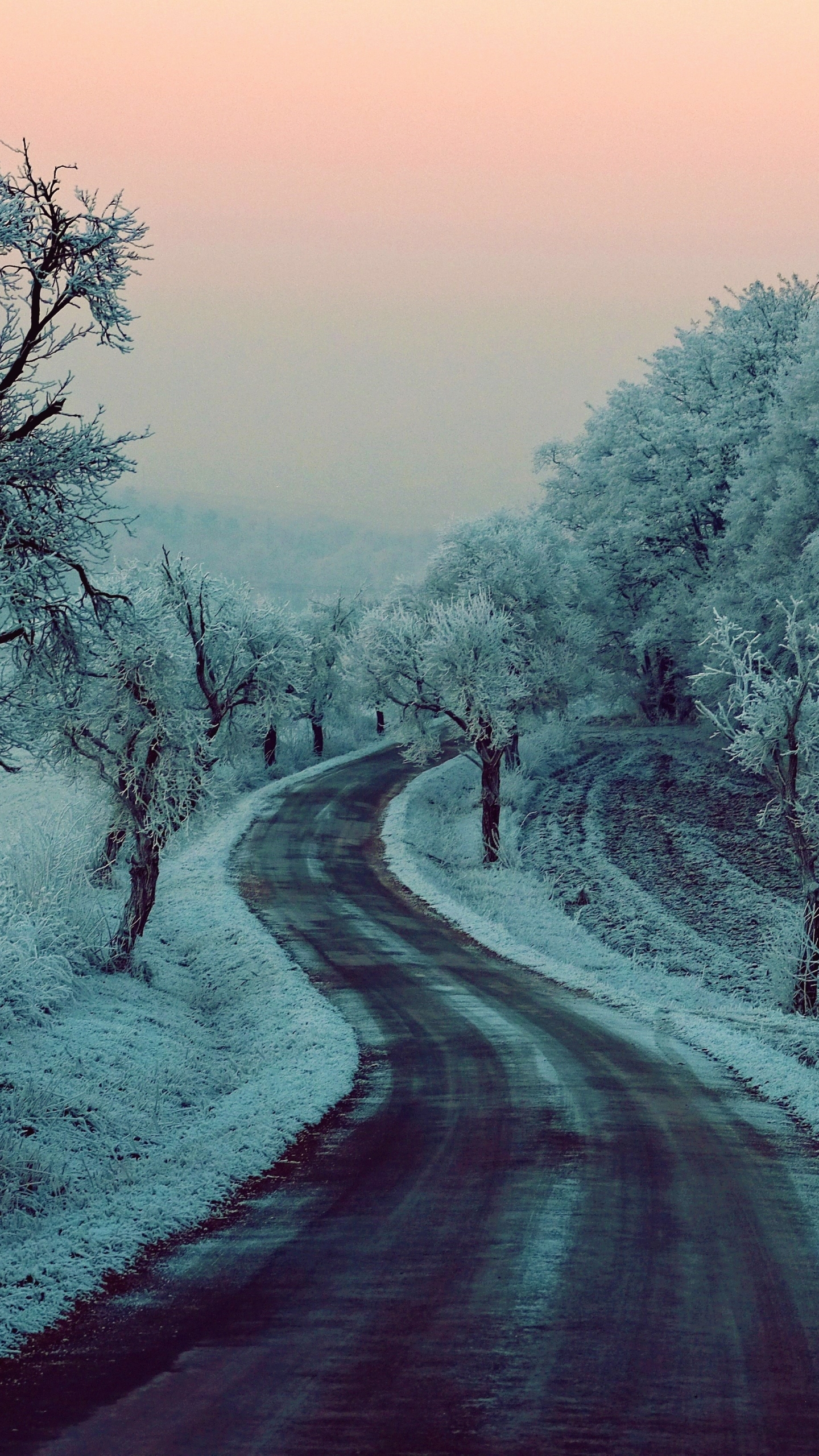 Download mobile wallpaper Winter, Snow, Road, Tree, Earth for free.